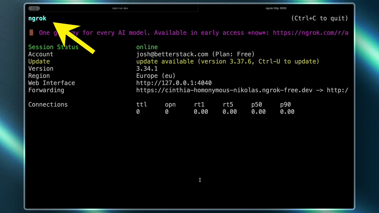 Standard ngrok terminal session showing the generated public URL and connection status