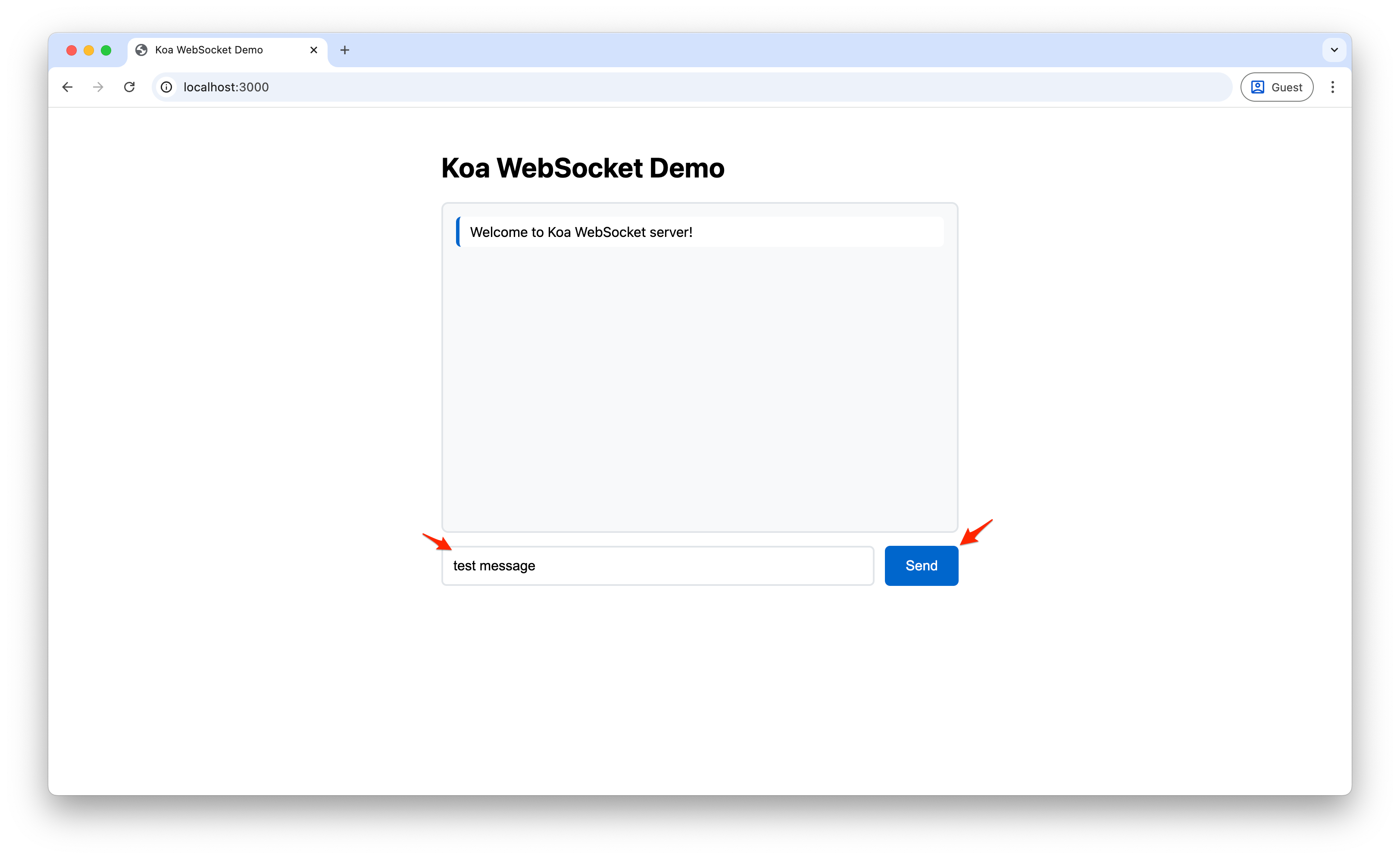 Screenshot of message input in the Koa demo interface