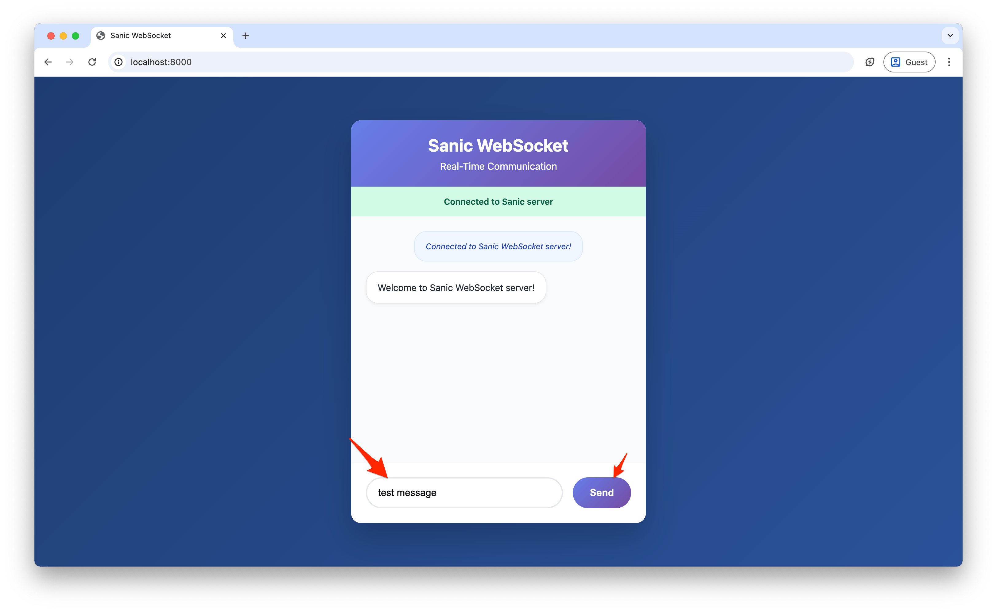 Screenshot showing the Sanic WebSocket chat interface with input field ready for messages