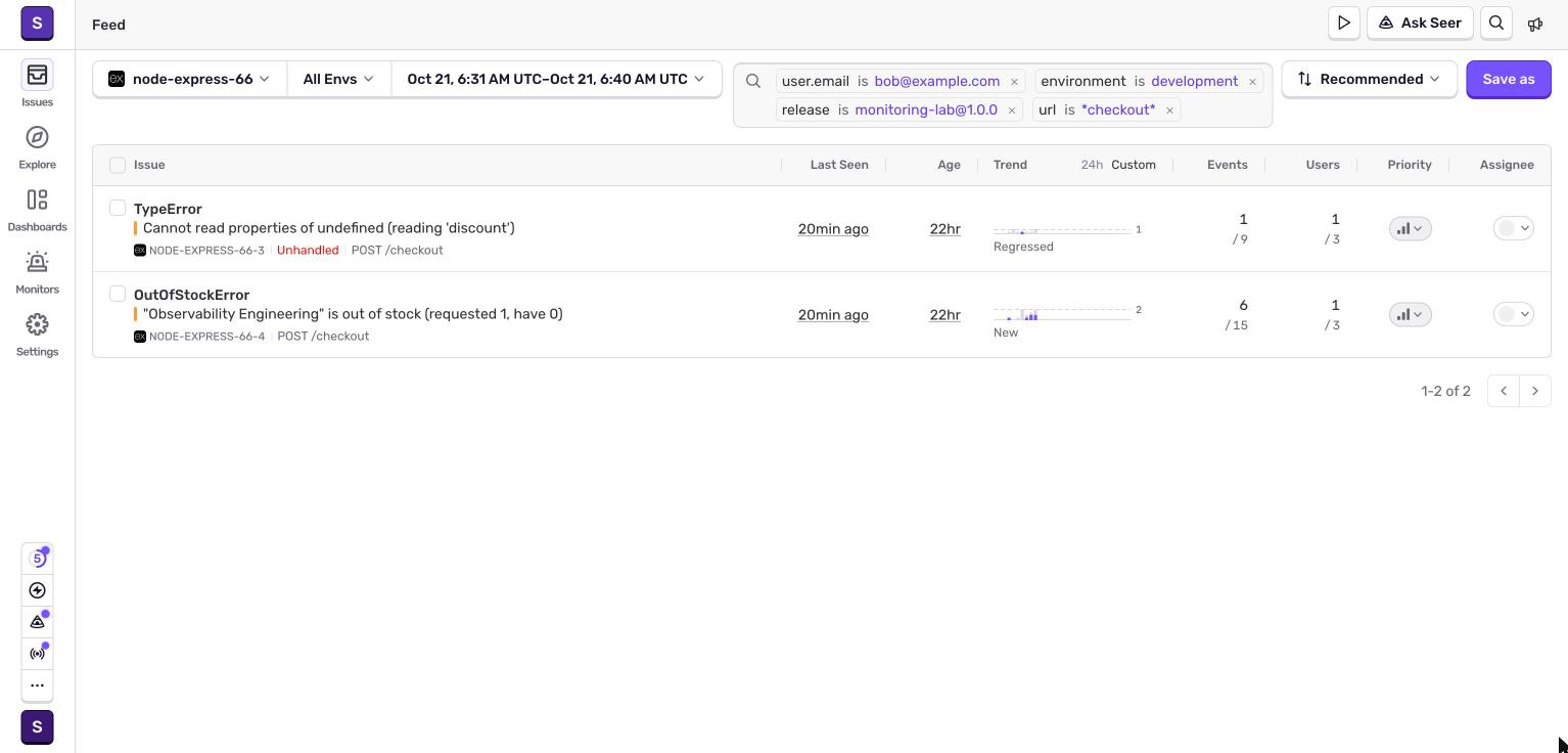 Screenshot: sentry-11-search-user-env-release-url