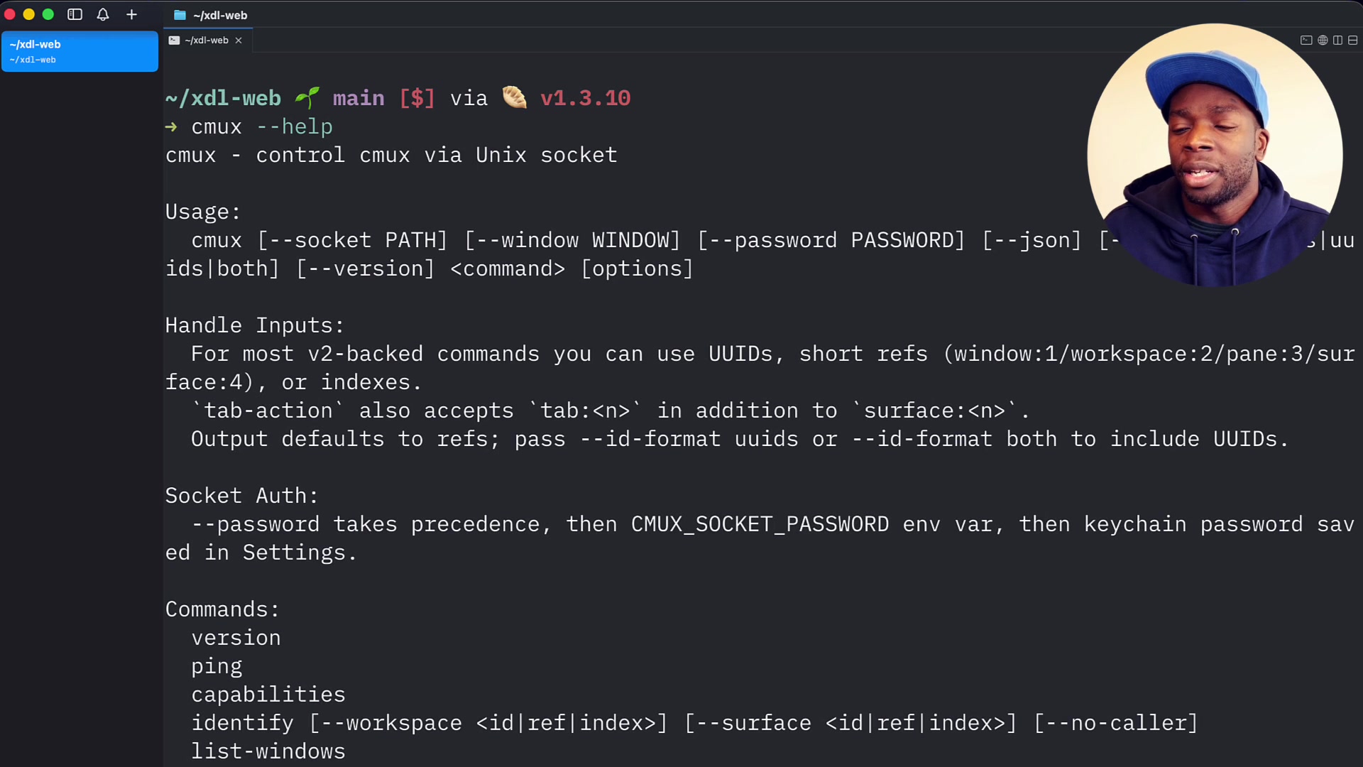 The Unix Socket is highlighted in the `cmux --help` output.