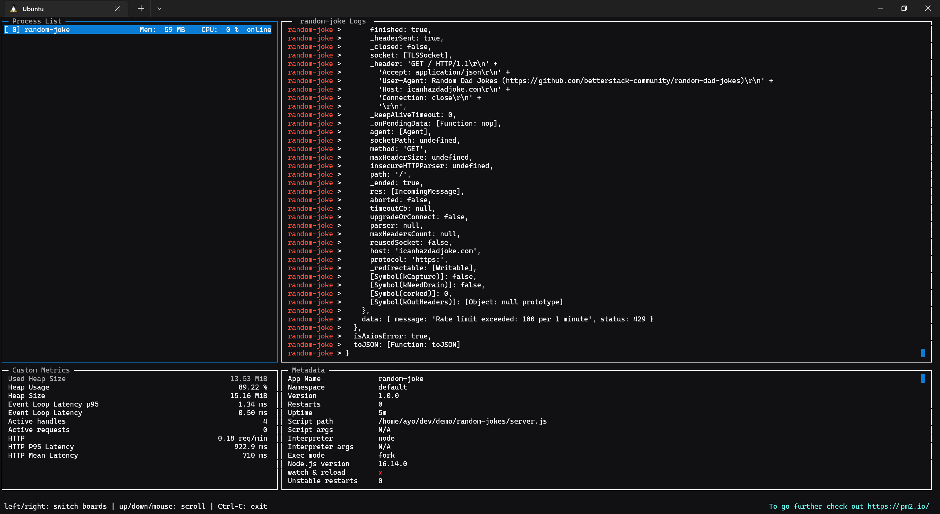 Screenshot of pm2 monit in action