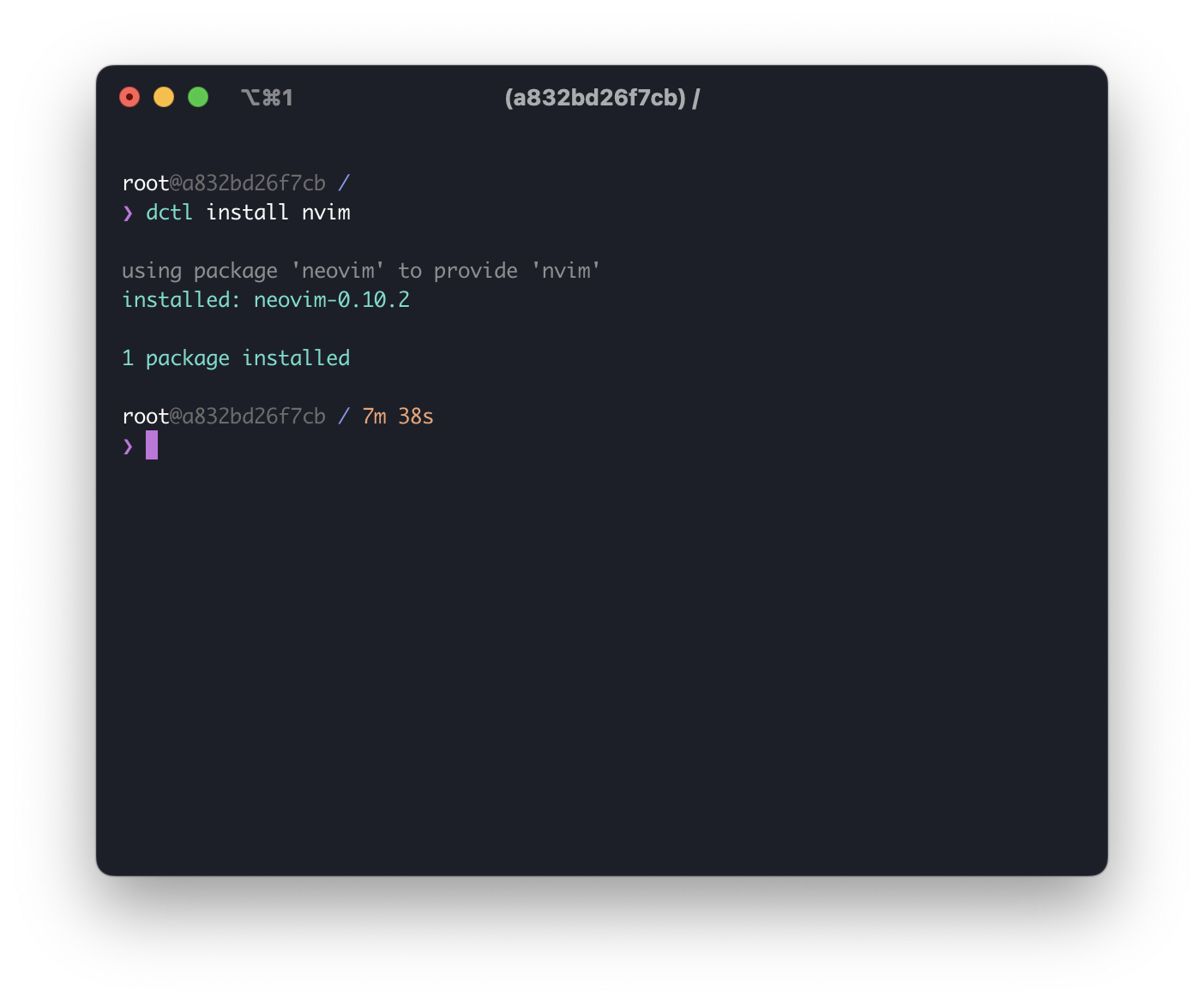 Screenshot showing `nvim` being installed