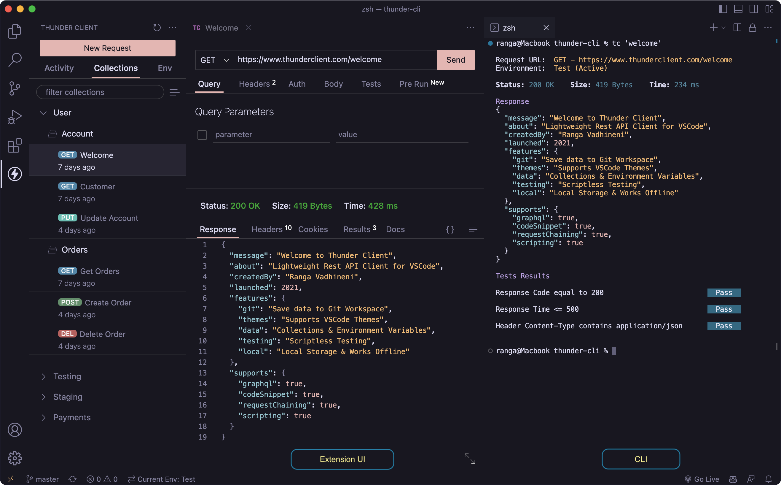 Thunder Client Interface