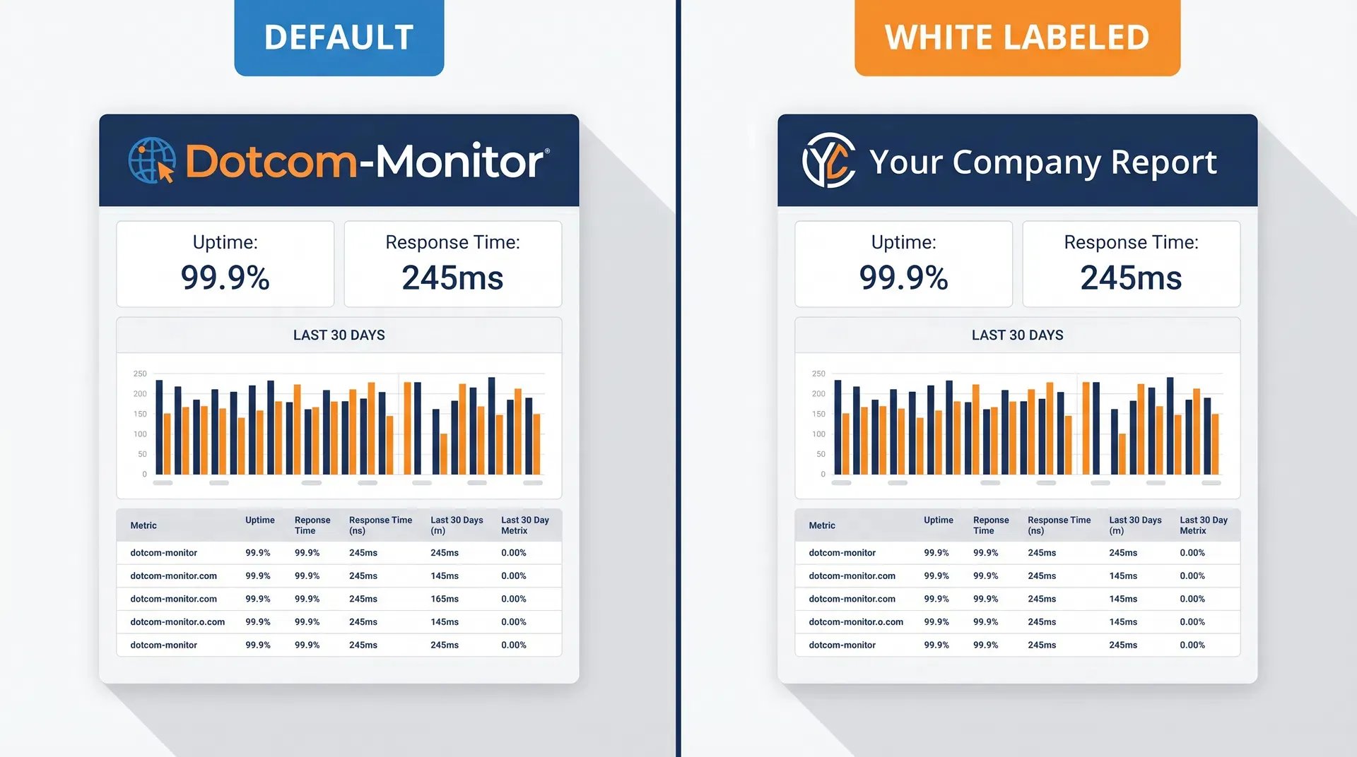 SCREENSHOT: Dotcom-Monitor white-label report example