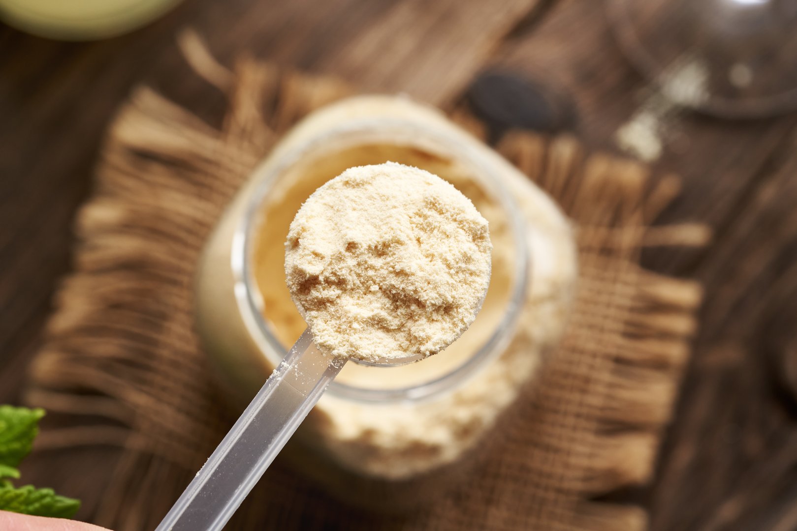 Whey protein powder in a measuring scoop above a jar, top view
