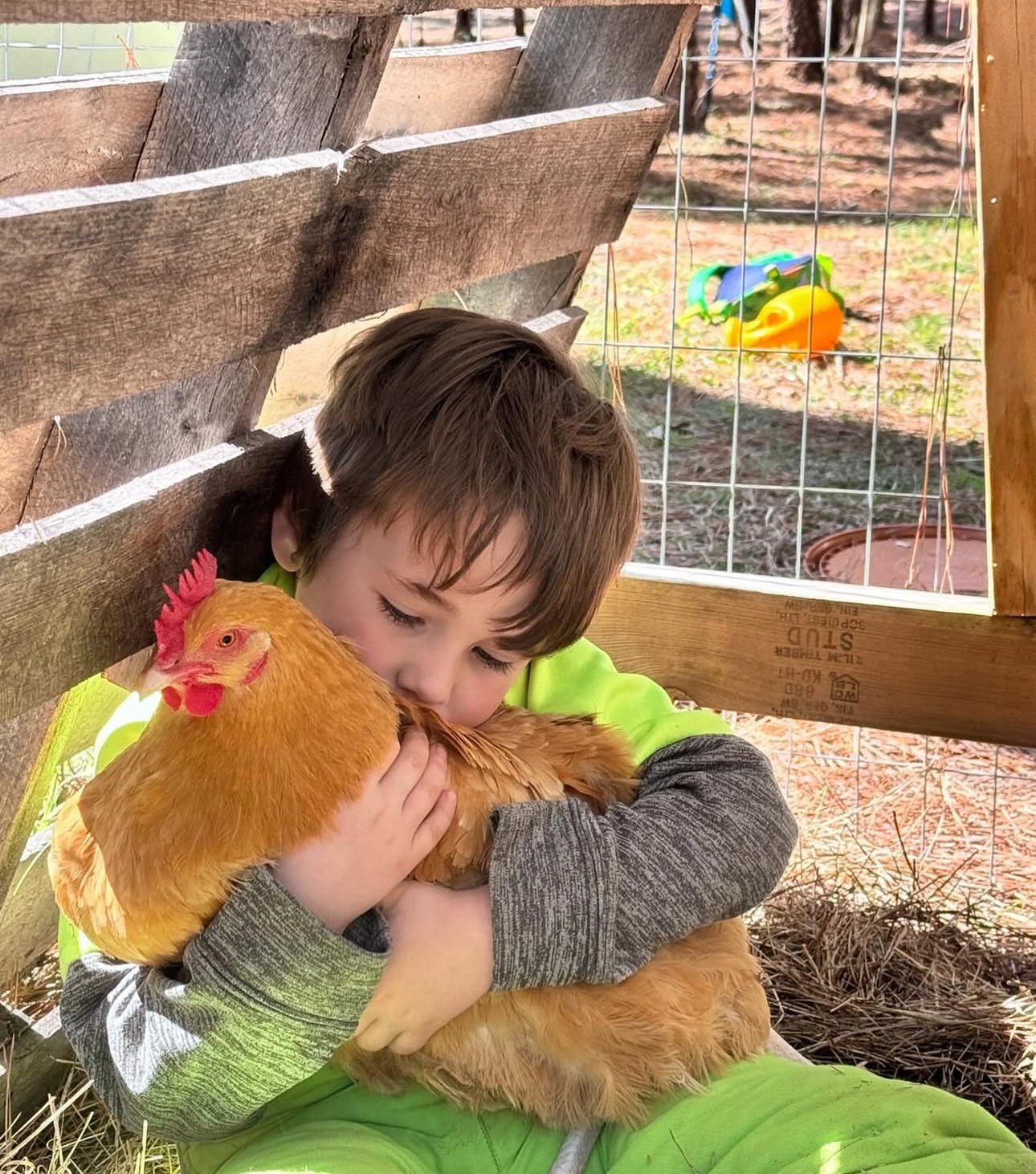 Children exploring nature at Mindful Journey Academy