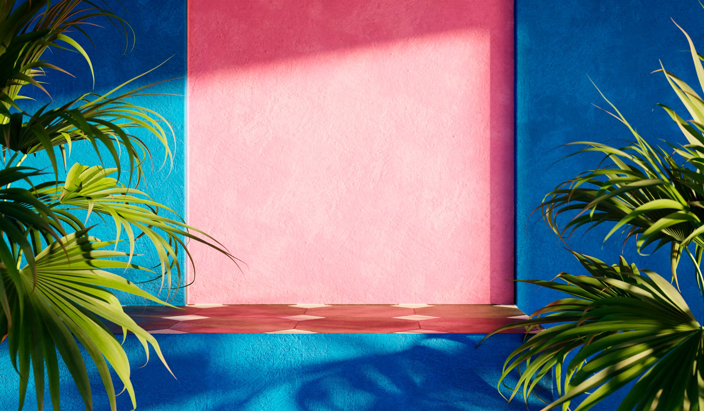 Colorful product placement background with palm shadow on plaster wall. Luxury summer architecture interior aesthetic with tropical plant and shunshine. Creative concept minimal design mockup.