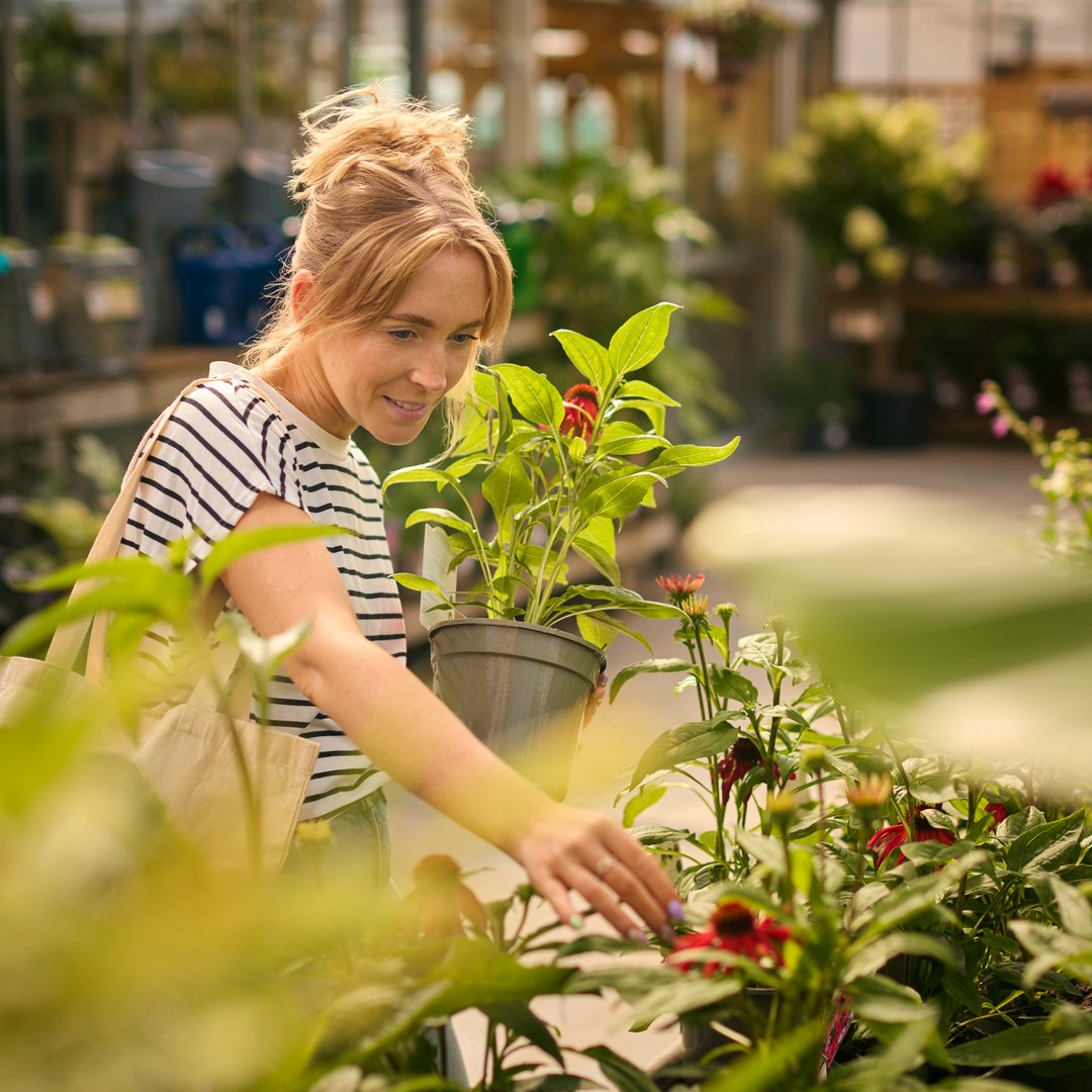 Nursery Plant Menu