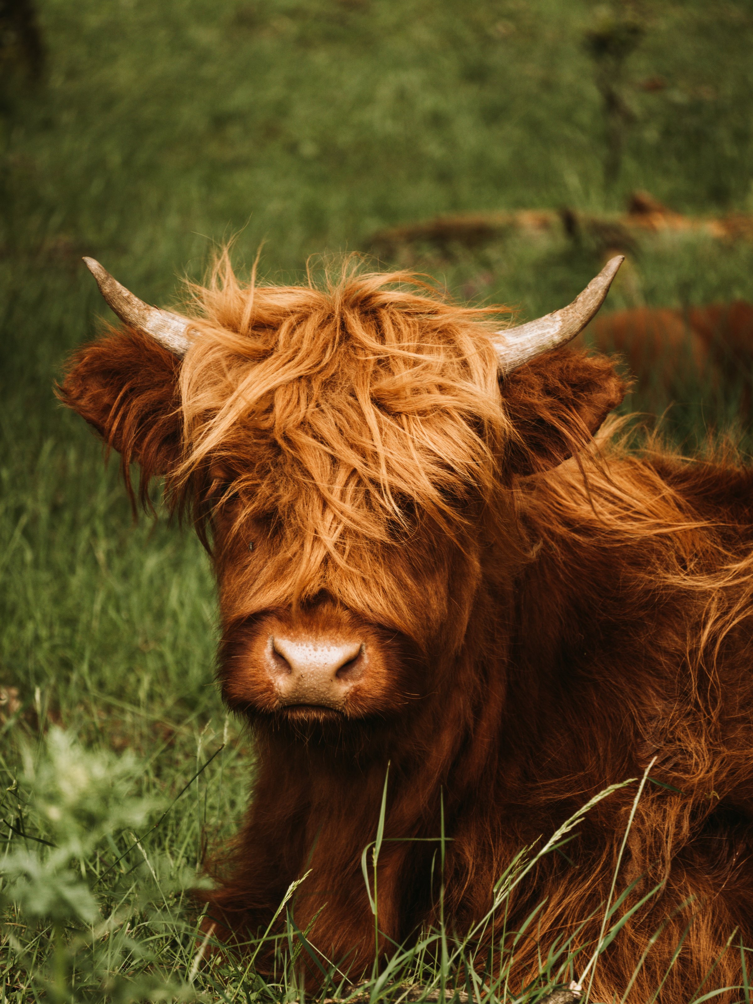Photo taken in Veluwe, Netherlands