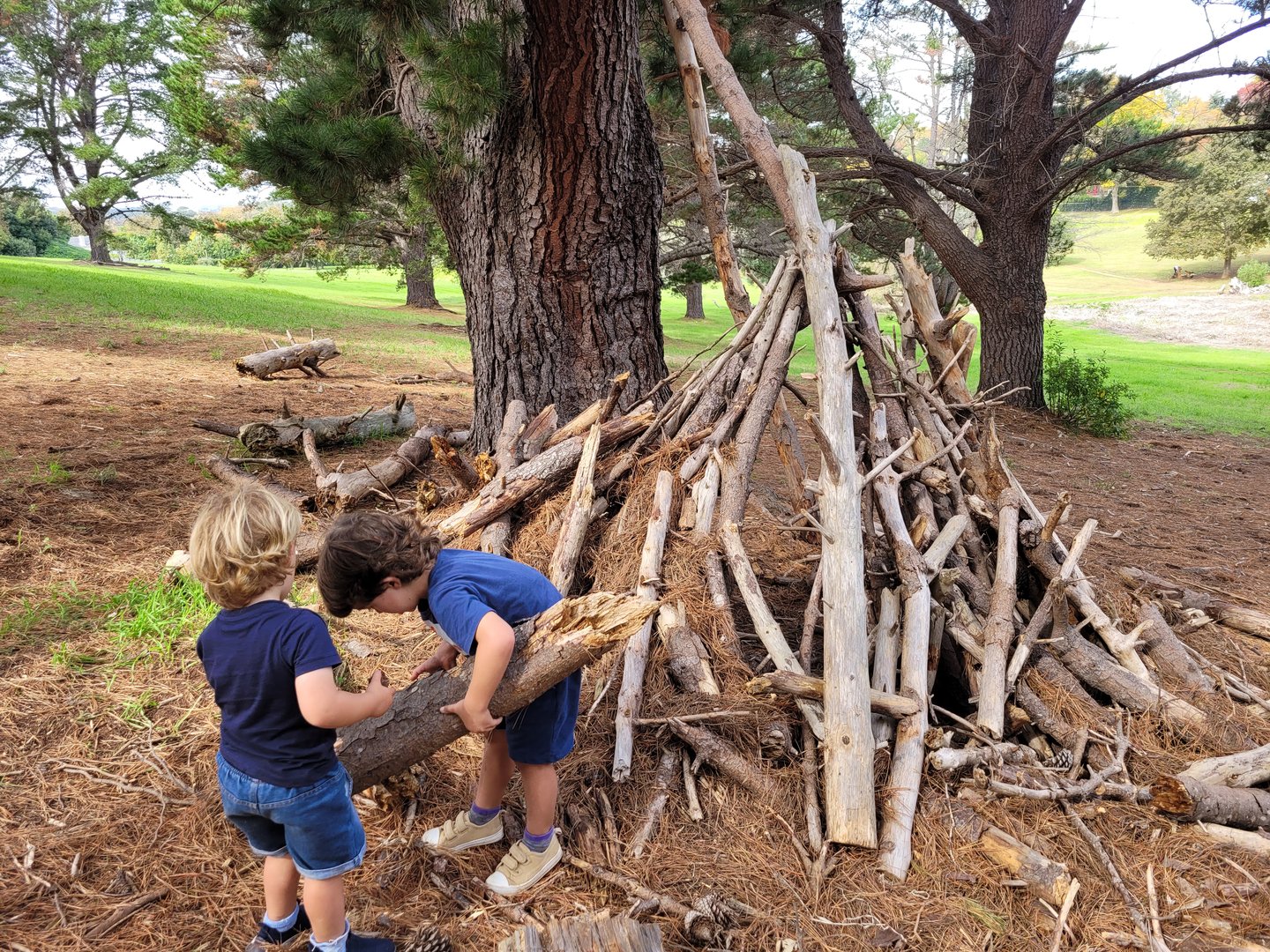 Building and practical skills