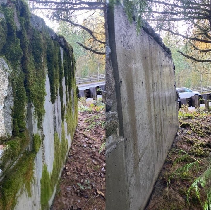 Professional moss removal service by Nicholson's Cleaning