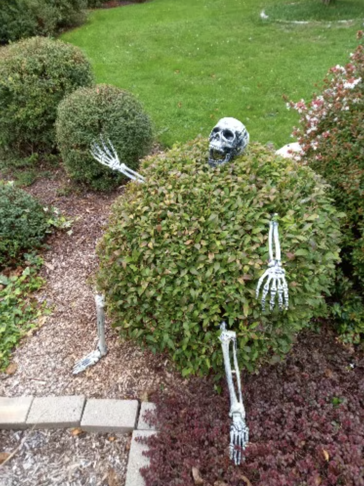 Halloween Skeleton Outdoor Decor Set