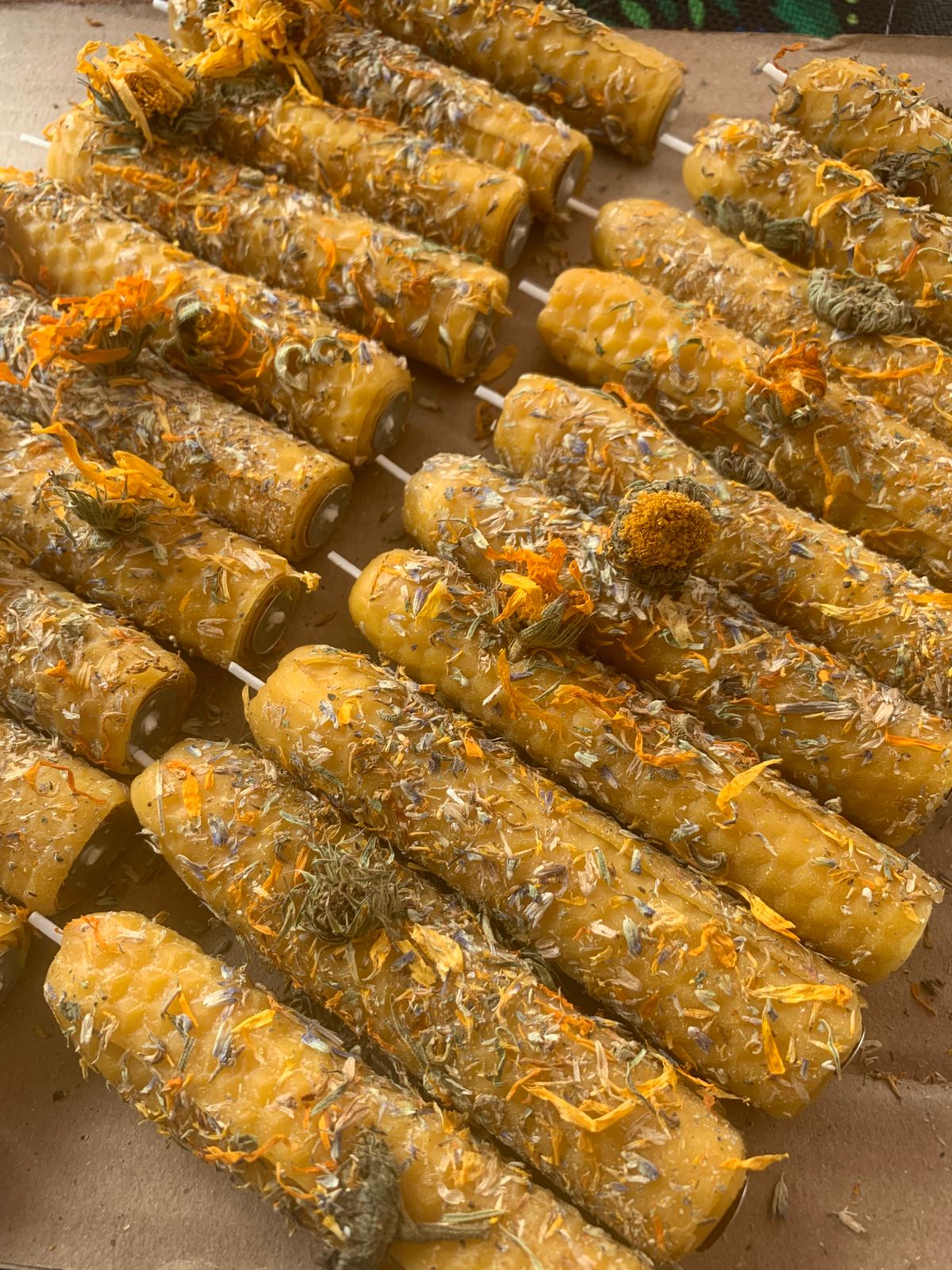 Rows of homemade herbal candles with dried flowers and herbs embedded, displayed on a flat surface.