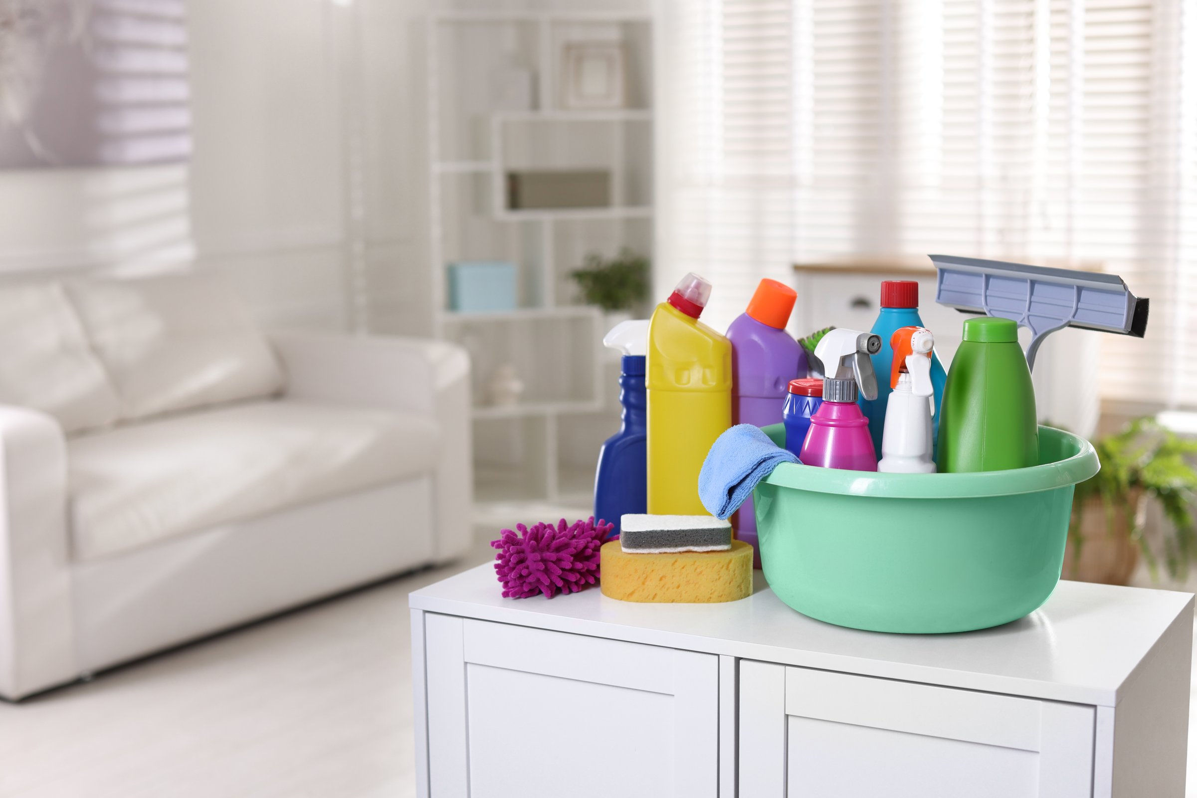 Different cleaning products and supplies on cabinet indoors