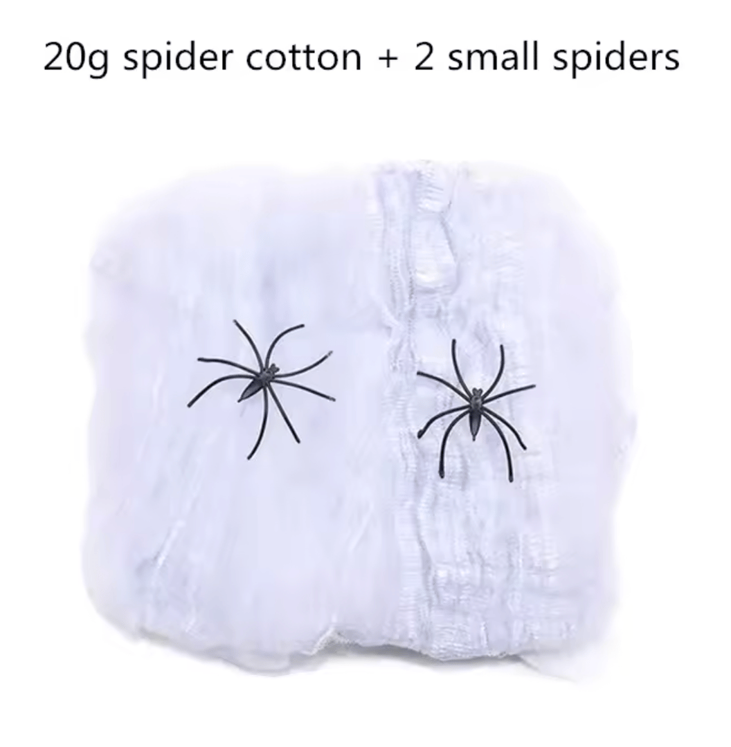 Spider Web Image 4