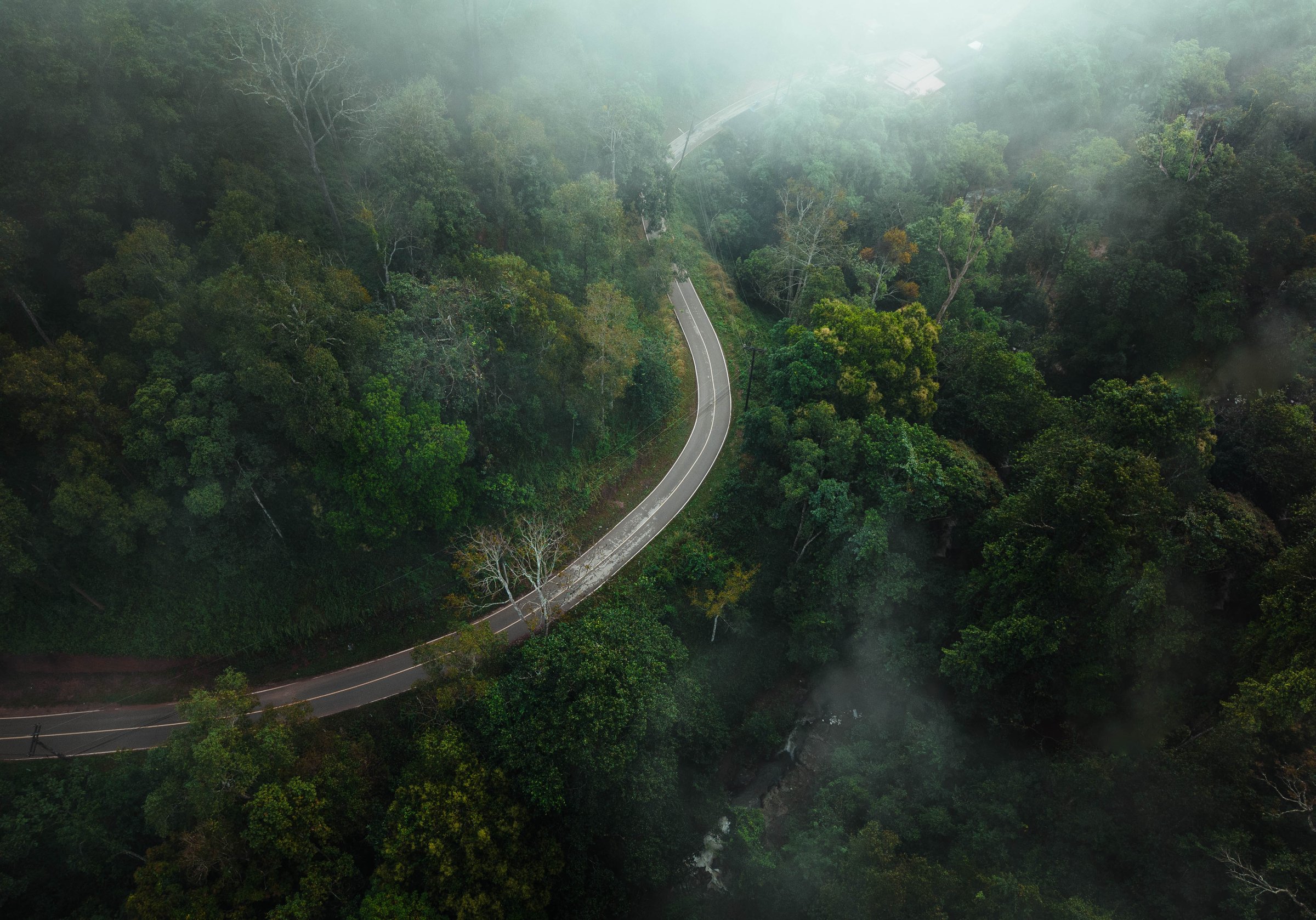Aerial view of morning road, morning fog and forest, dark tone.