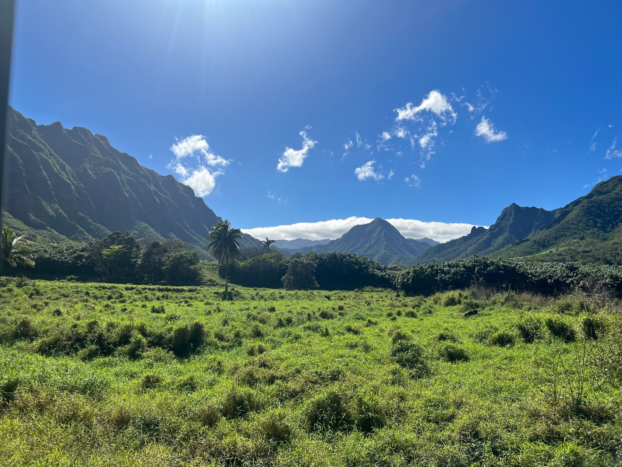 Lush green valley with mountains under a clear blue sky, featuring palm trees and sunlight streaming down.