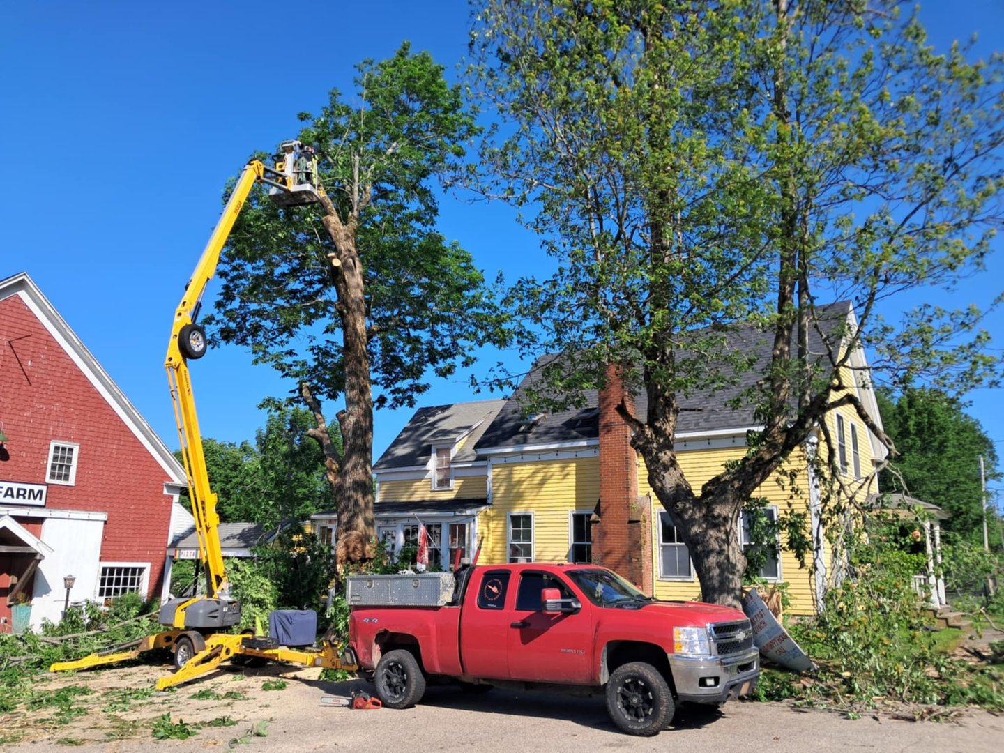 Tree care service