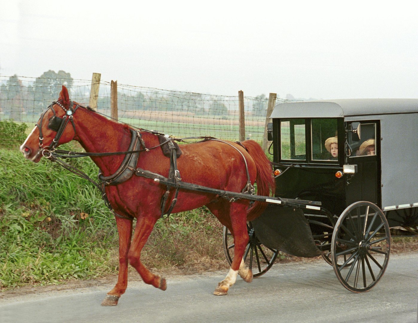 Amish
