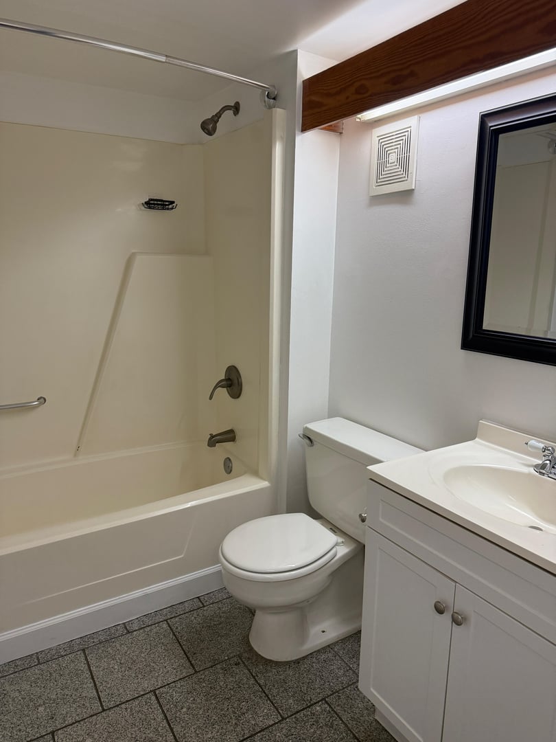 15 Park St #201 - Bathroom