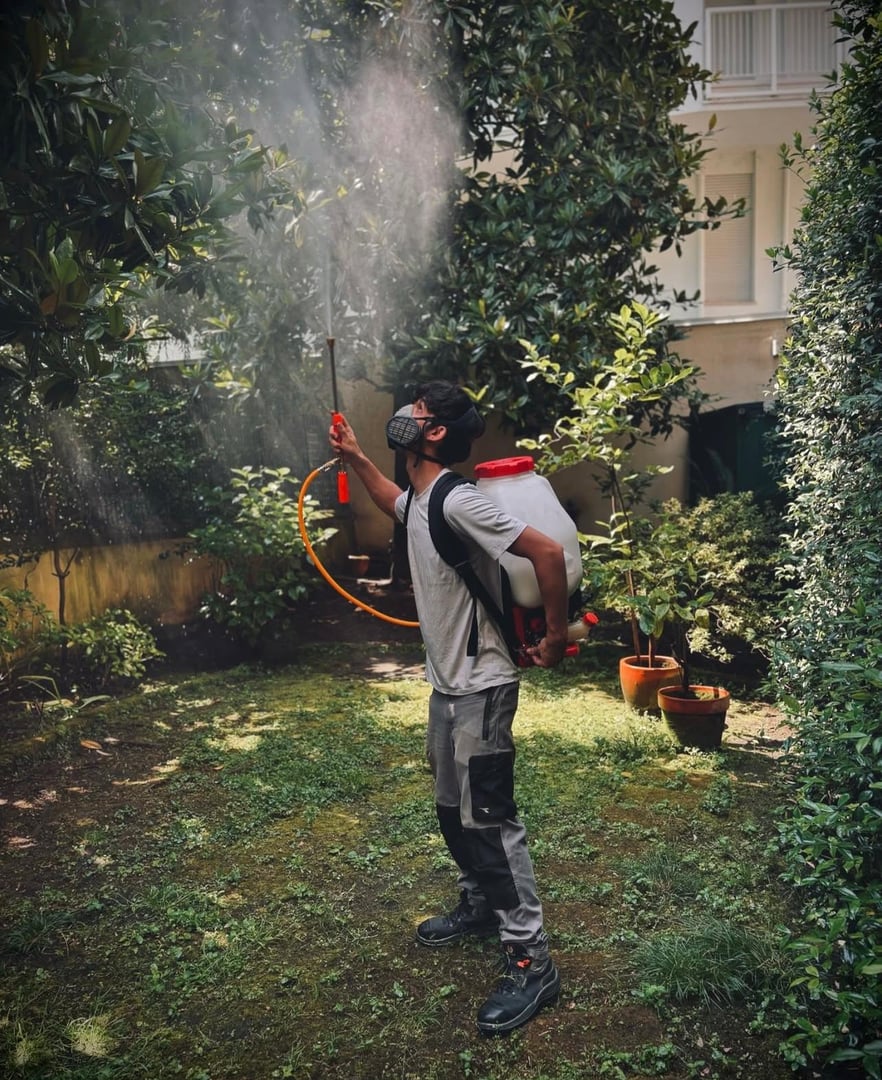 Servizi professionali di disinfestazione