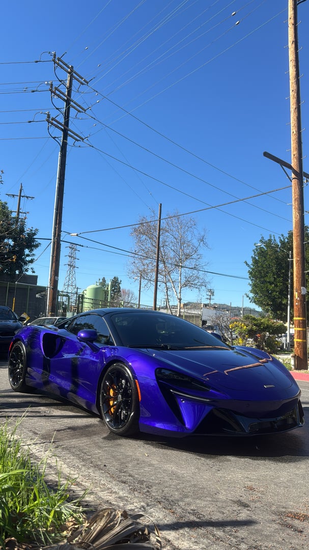 Mags Detailing professional car detailing work
