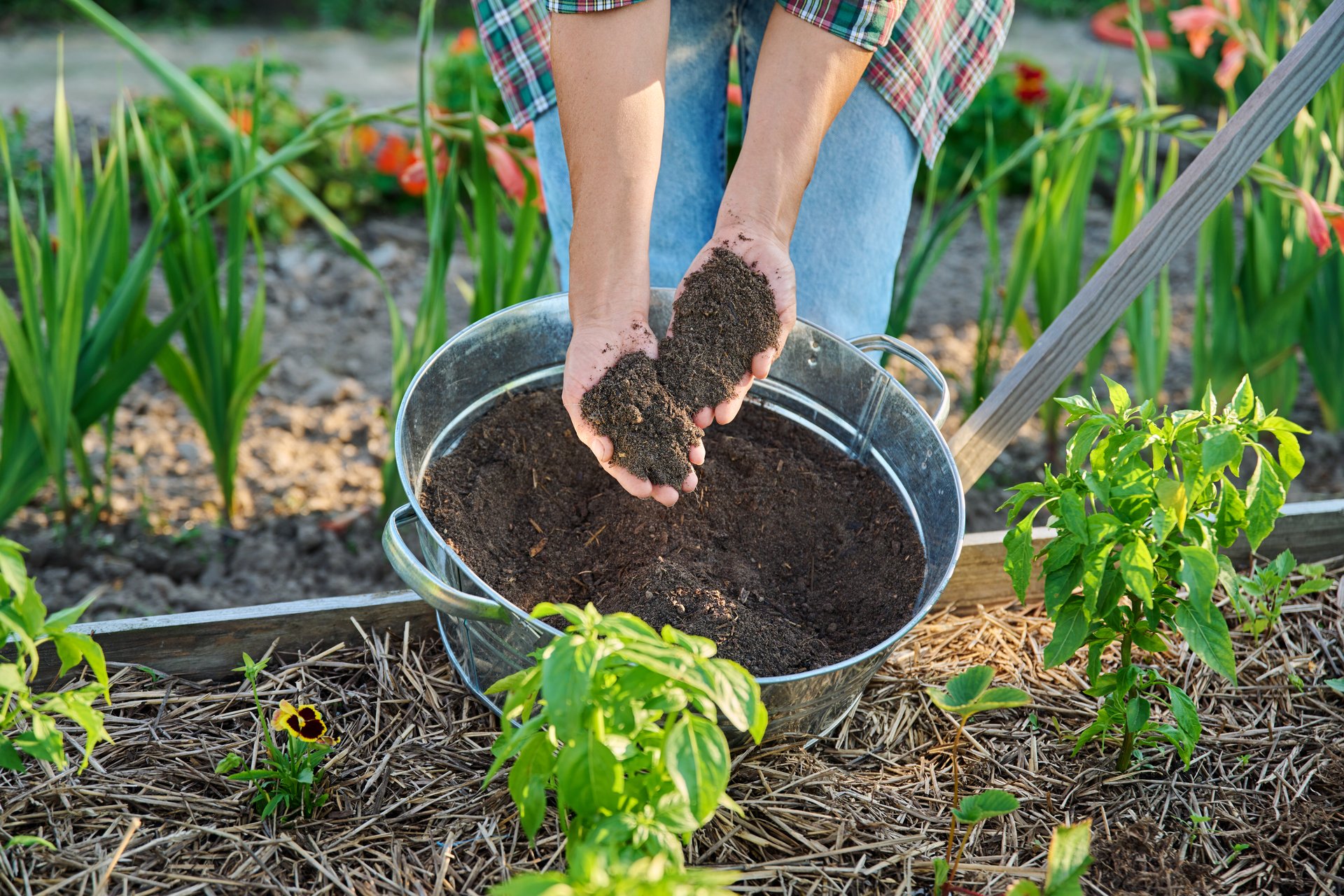 Humus, compost, dark wet fertile soil in hands of gardener. Organic farming, gardening, planting, fertilizing, agriculture ecology concept