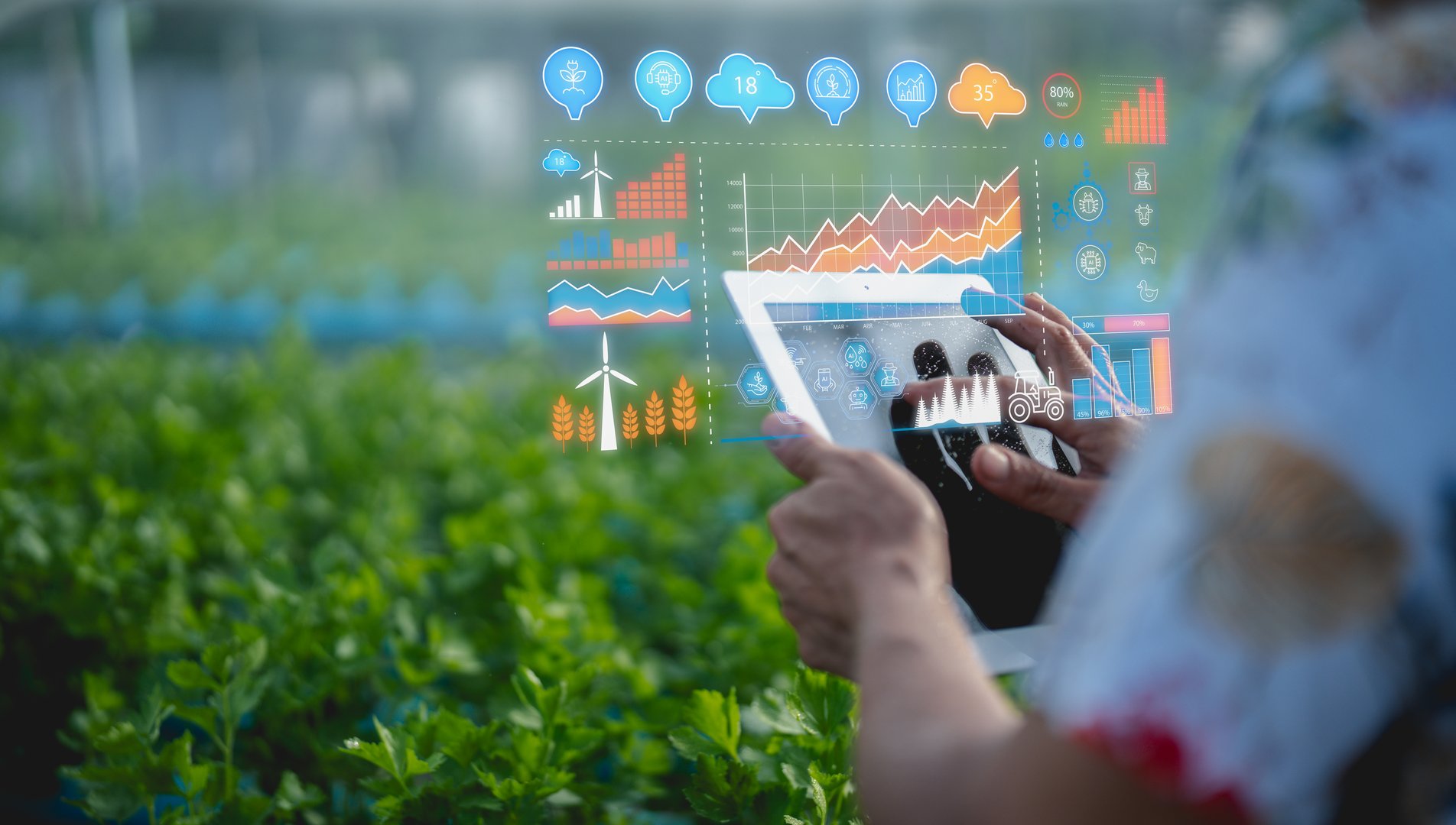 Farmers selling produce digitally