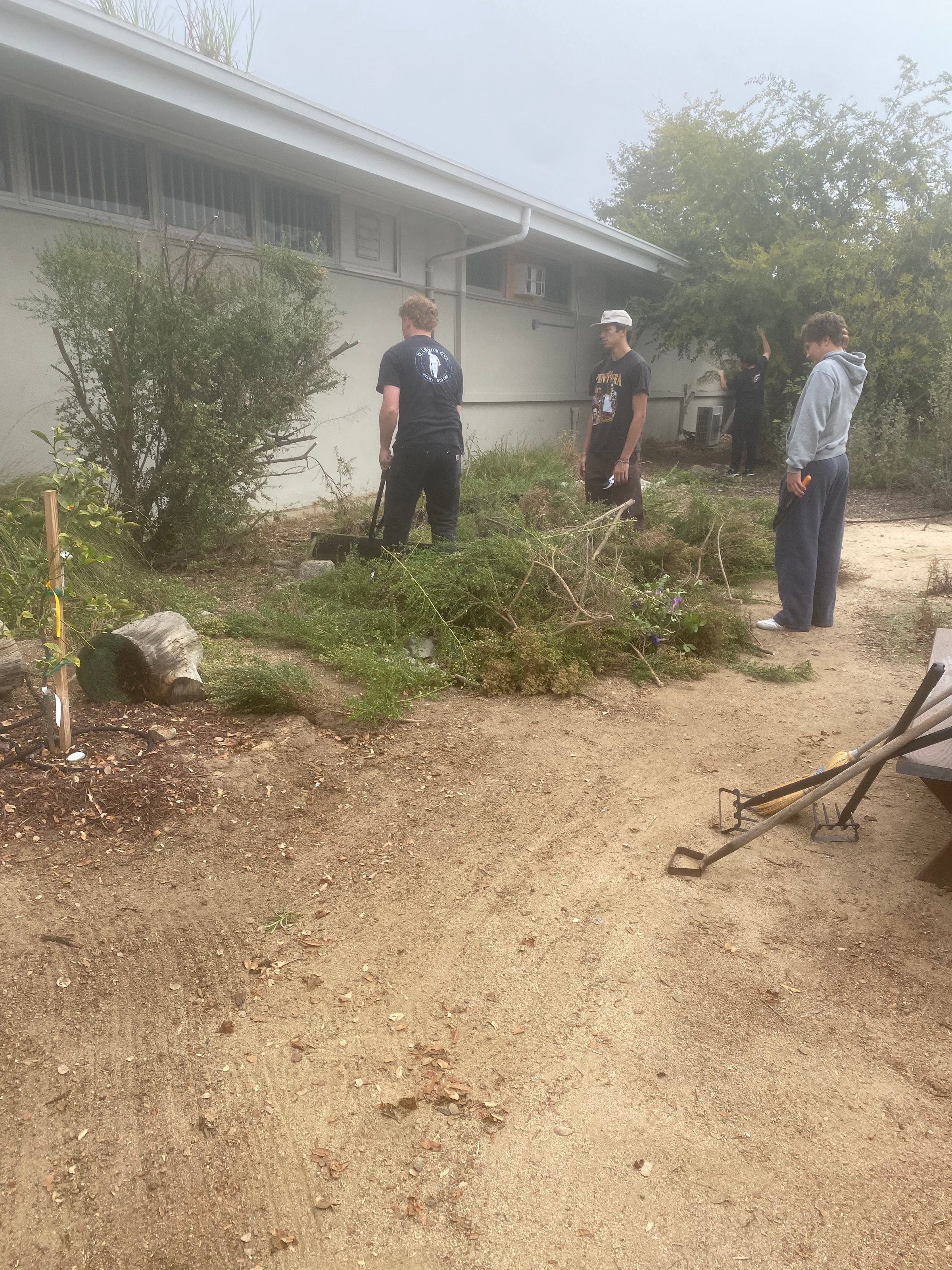 Quality cleaning service