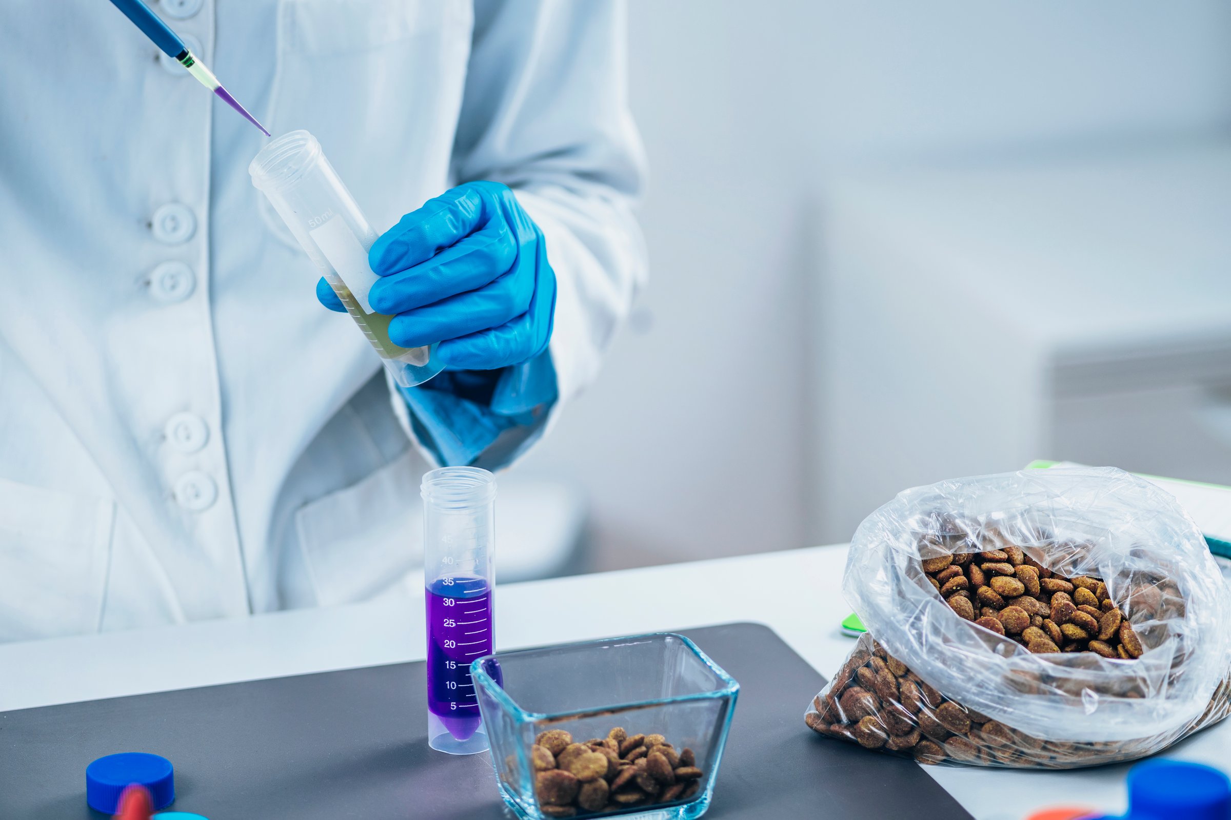 Pet Food Testing Laboratory.  Microbiologist Searching for the Presence of Bacteria in Dry Dog Food
