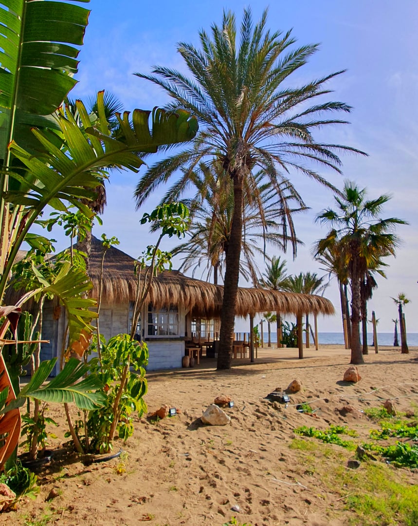 Tropical bar with palm trees in Marbella coast, Spain.