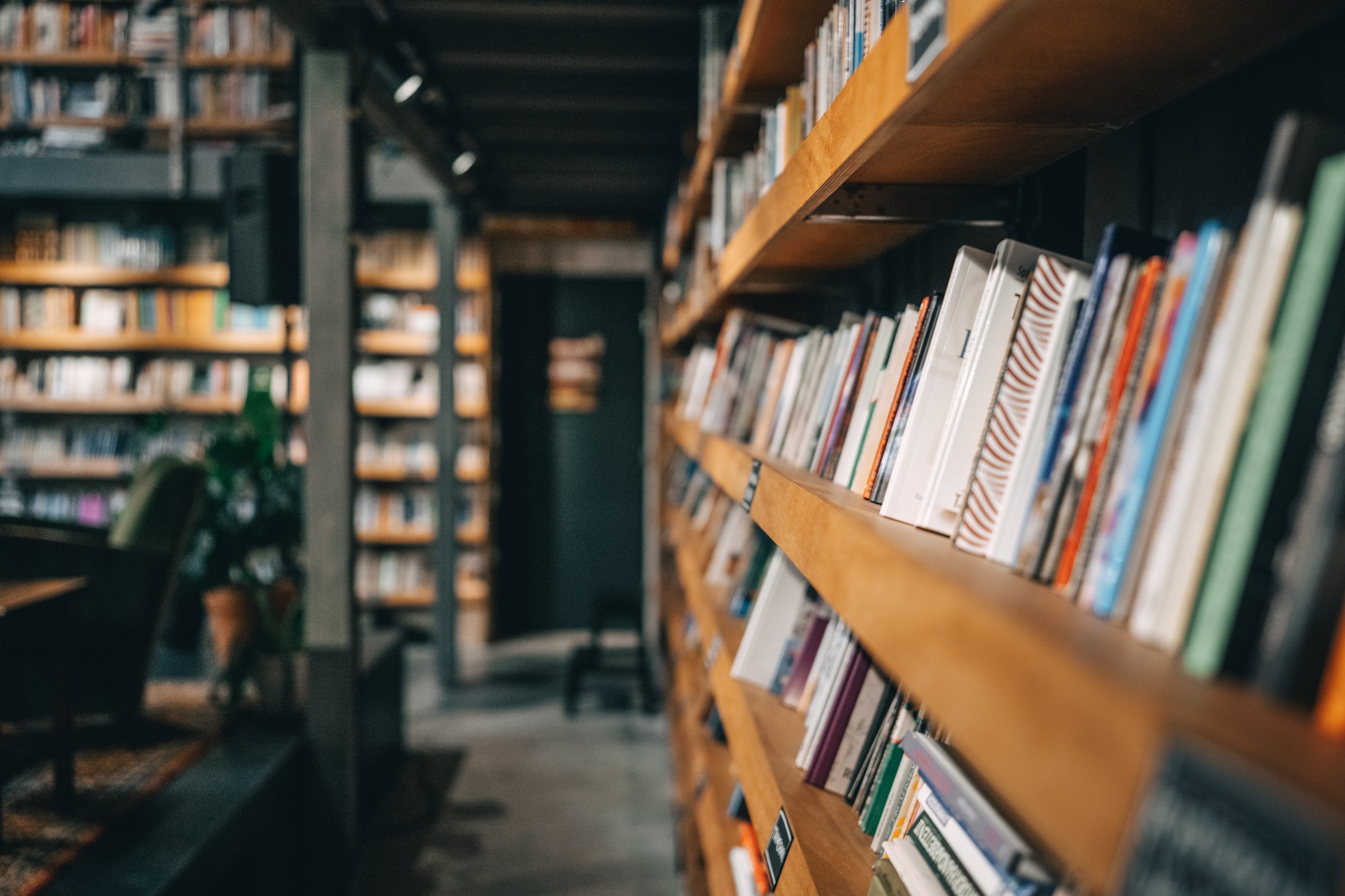 Library bookshelf: colorful spines, warm wood, neatly organized. Perfect for calm reflection and study