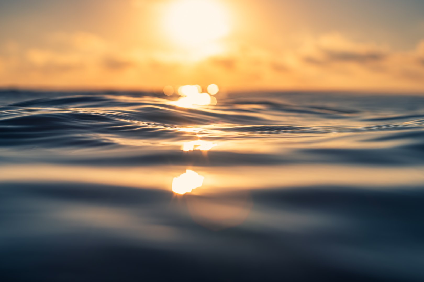 Sea wave close up, low angle view, sunrsie shot.