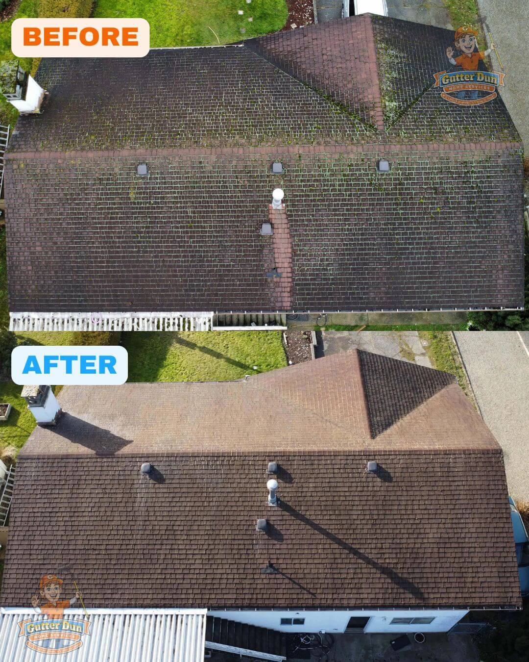 Clean driveway with no algae or stains