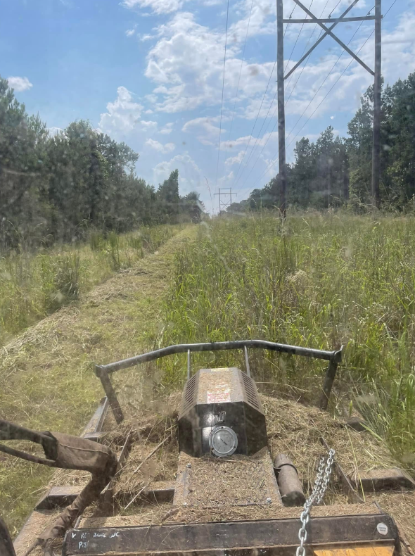 Before land clearing project