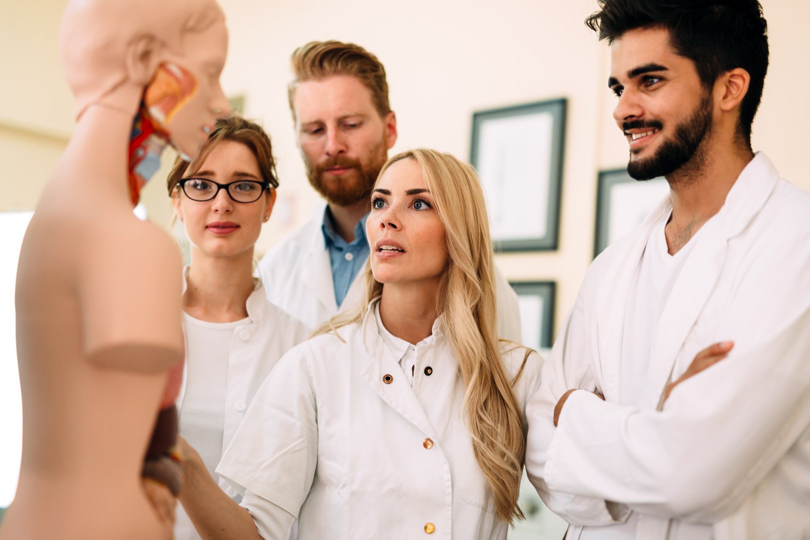 Young students of medicine examining together anatomical model in classroom