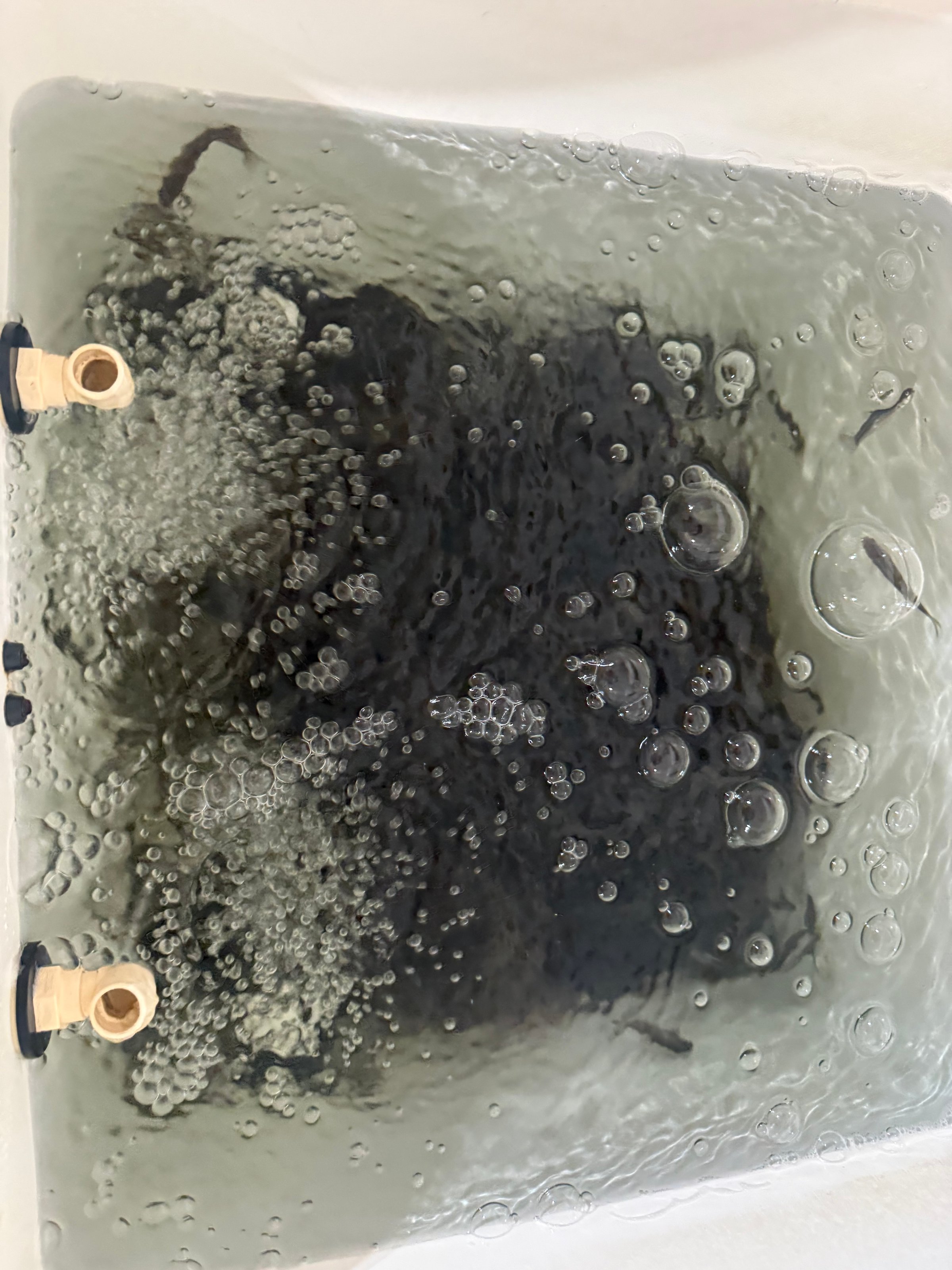 Quality bait selection at M & W Bait & Tackle