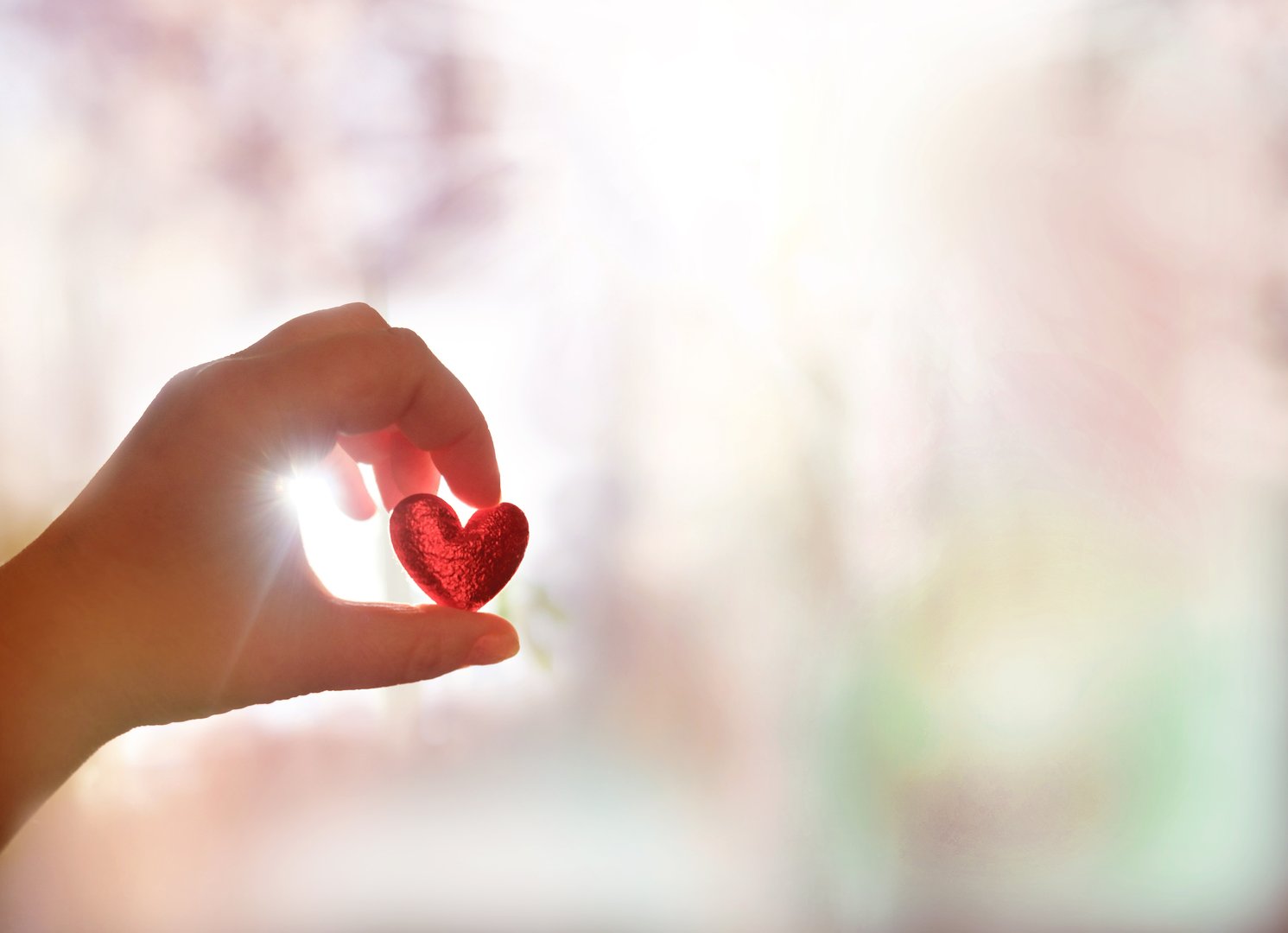 Female hand holding red heart, sunlight, blurred background with copy space. Love, peace, praying, protection, volunteering,  healthcare and humanity concept