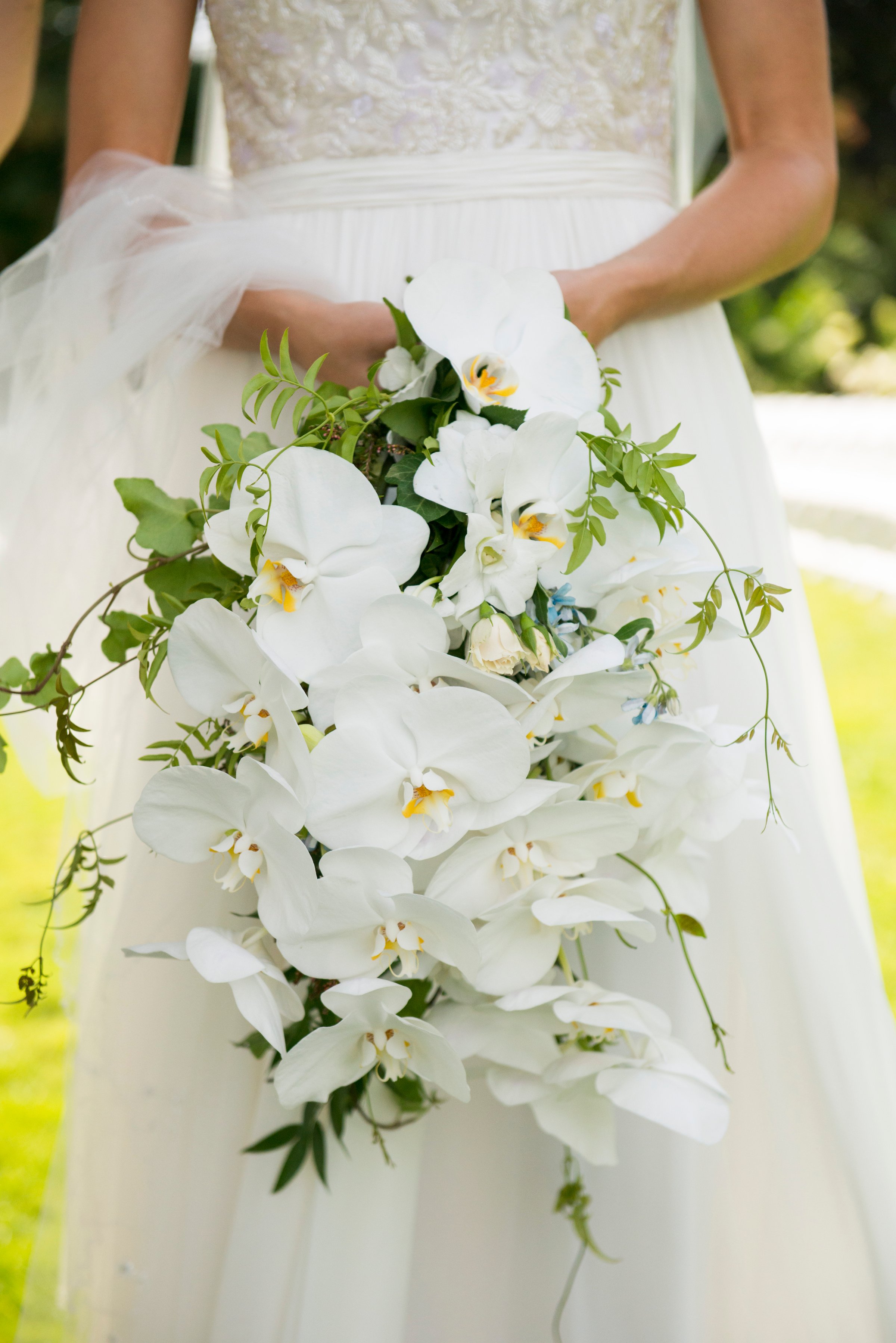 Bridal Cascade Bouquet with White Orchids and Greenery in Newport, Rhode Island, United States
