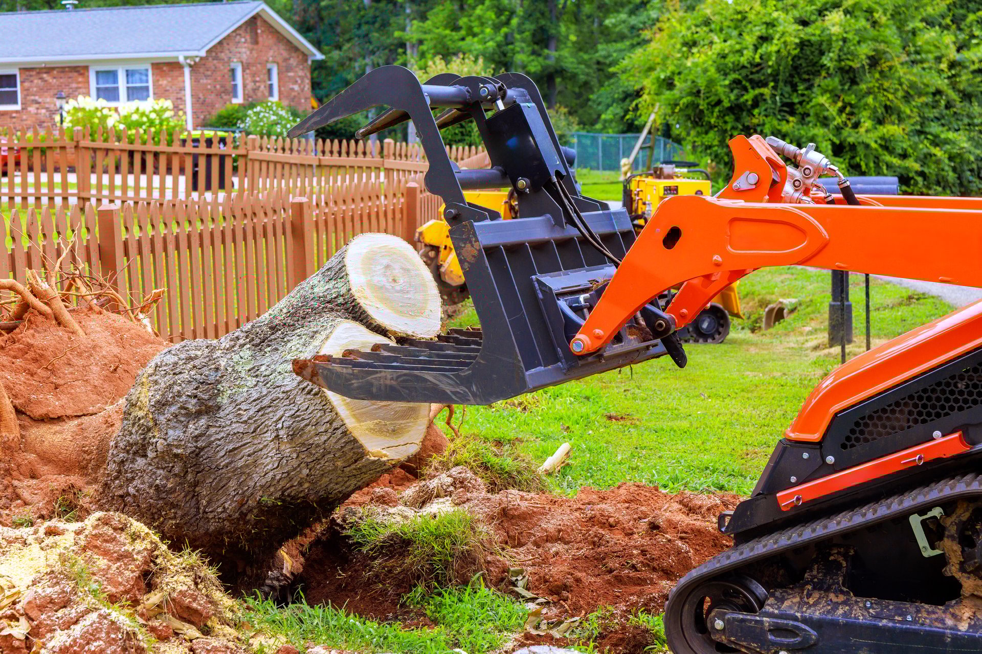 Construction skid steer machinery removes large tree stump from grassy residential yard, by fences.