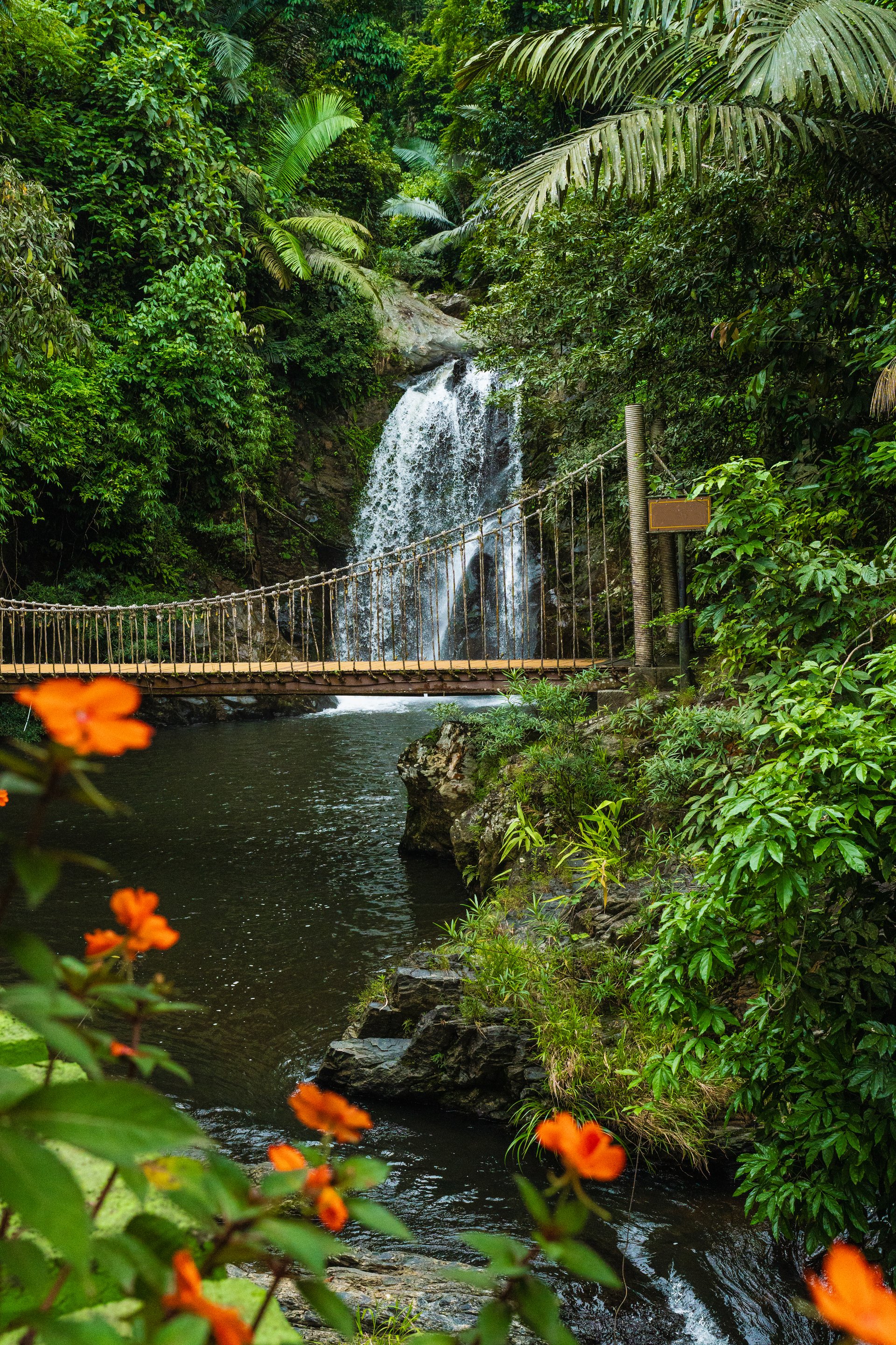 Los Tuxtlas Catemaco
