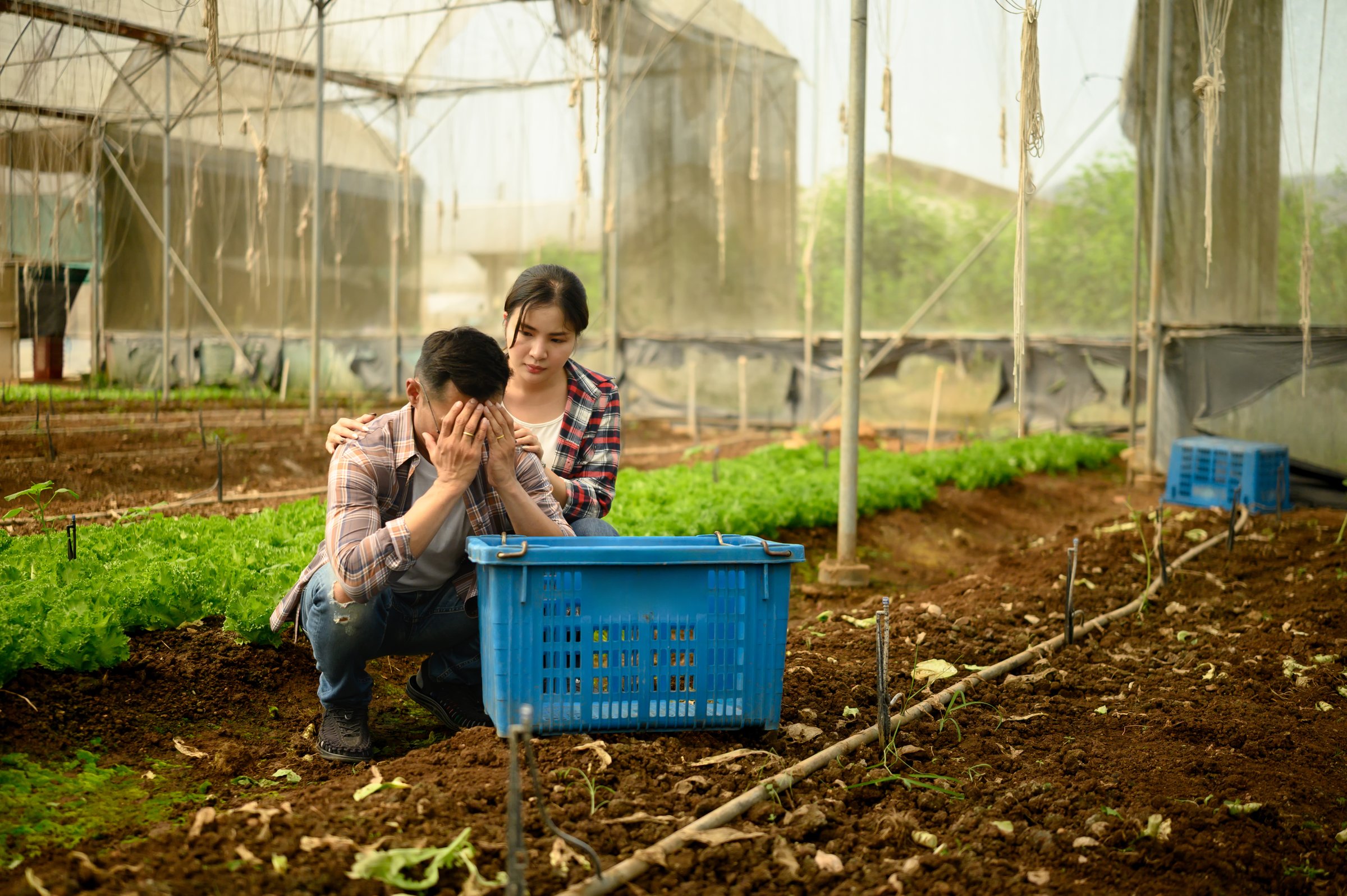 Farmer feeling defeated over poor harvest. Crop failure and agricultural crisis concept.