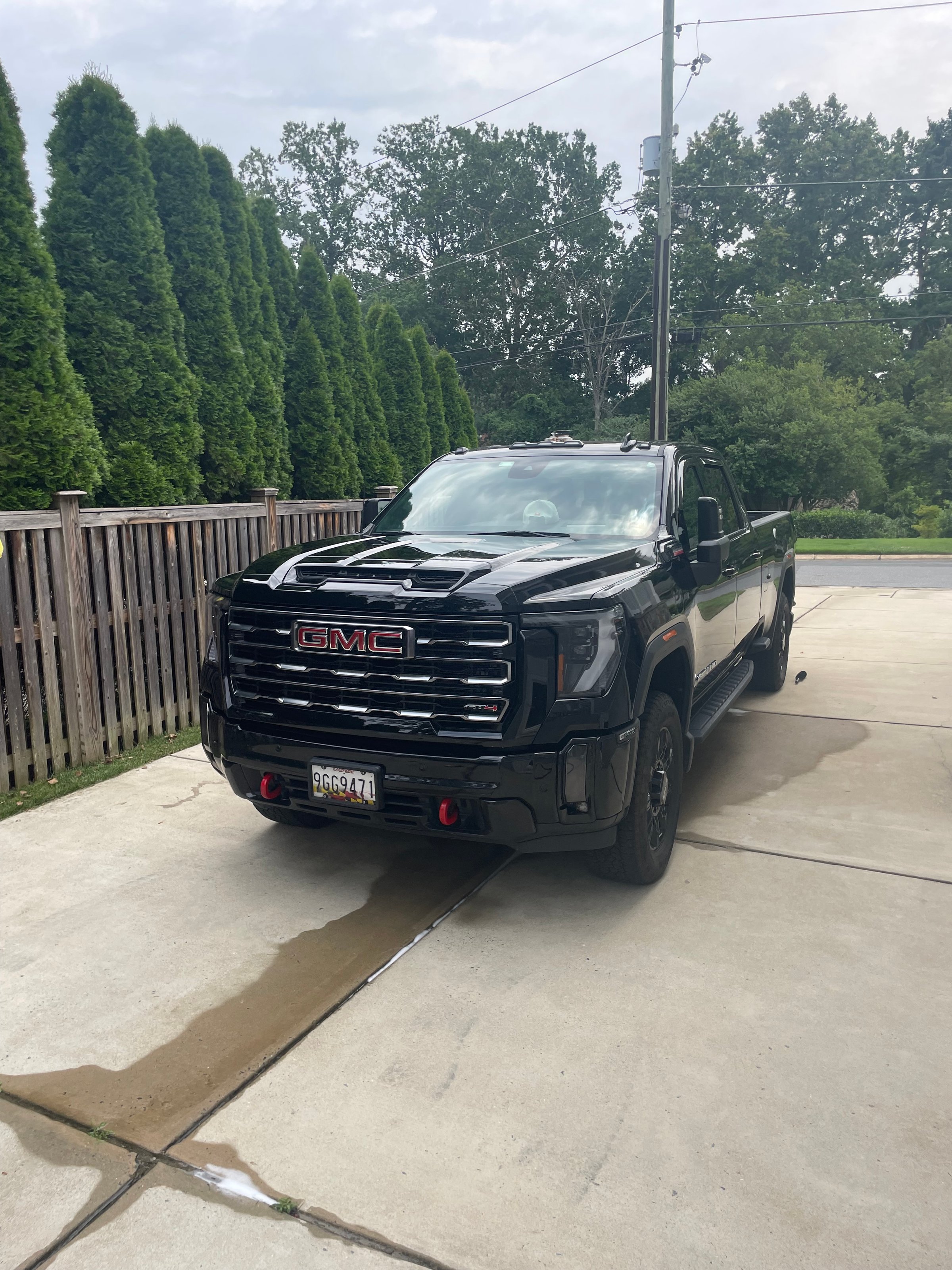 Professional car detailing results