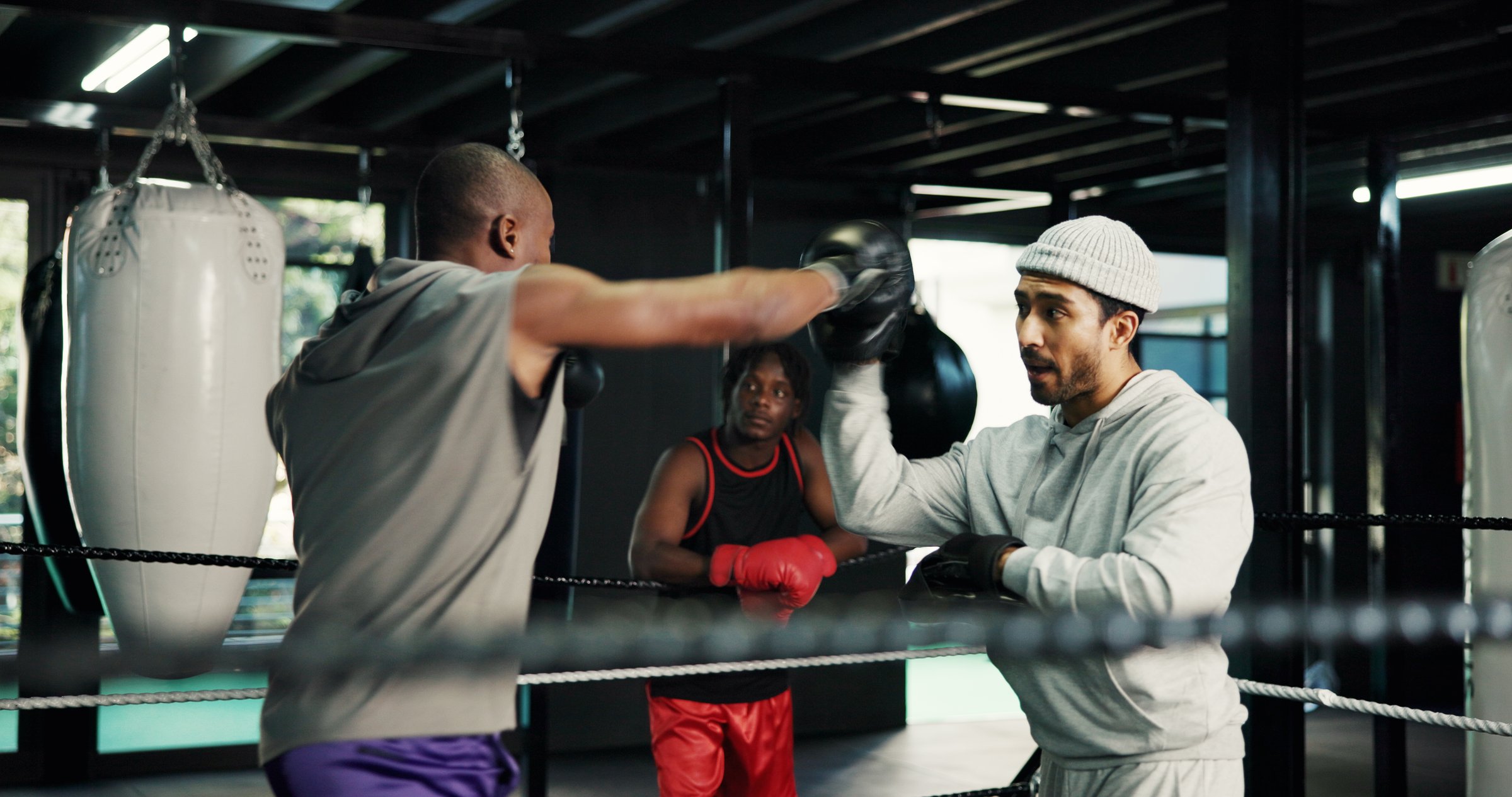 Gym, sports and training with people in boxing ring for fitness, self defense or sparring. Boxer, challenge and fight with men punching in combat for competition, exercise or performance as athlete