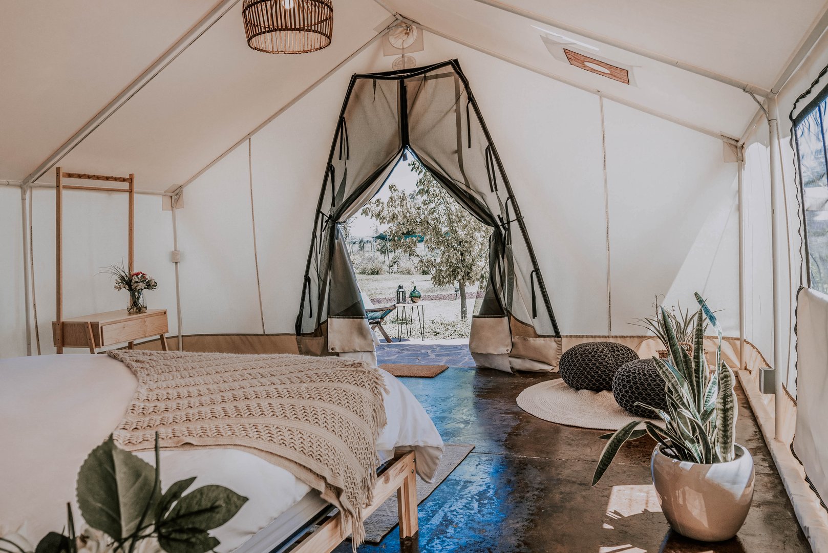 Interior of a glamping tent with a cozy bed, plants, a small table, and an open view of trees outside.
