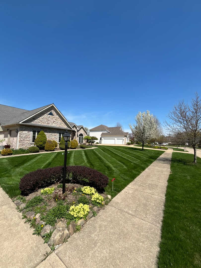 Yellow Jacket Landscaping work showcase