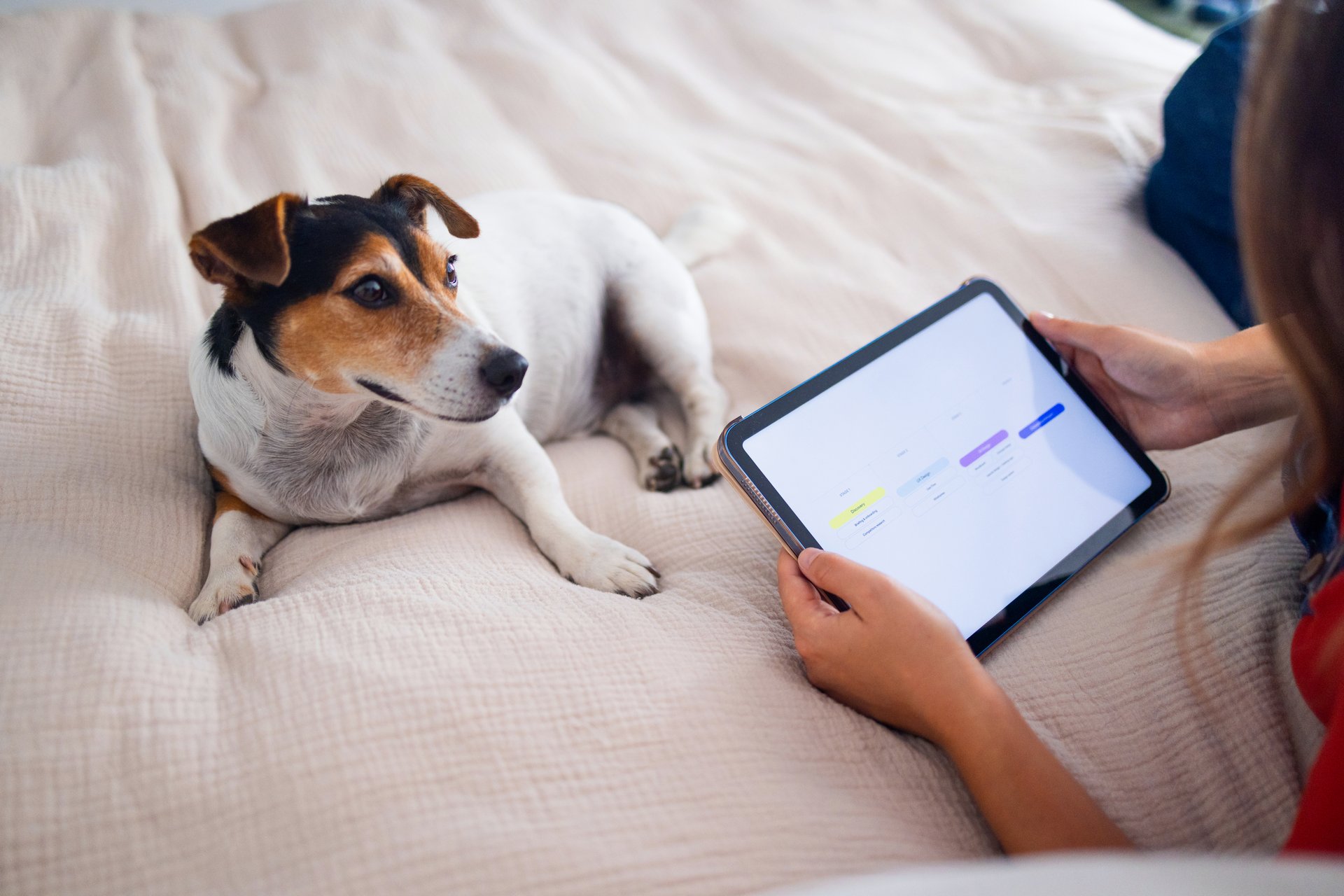 A serene scene of a woman using a tablet while her loyal dog rests nearby, exuding warmth and companionship. Ideal for themes of technology, home, pets, relaxation, and lifestyle.