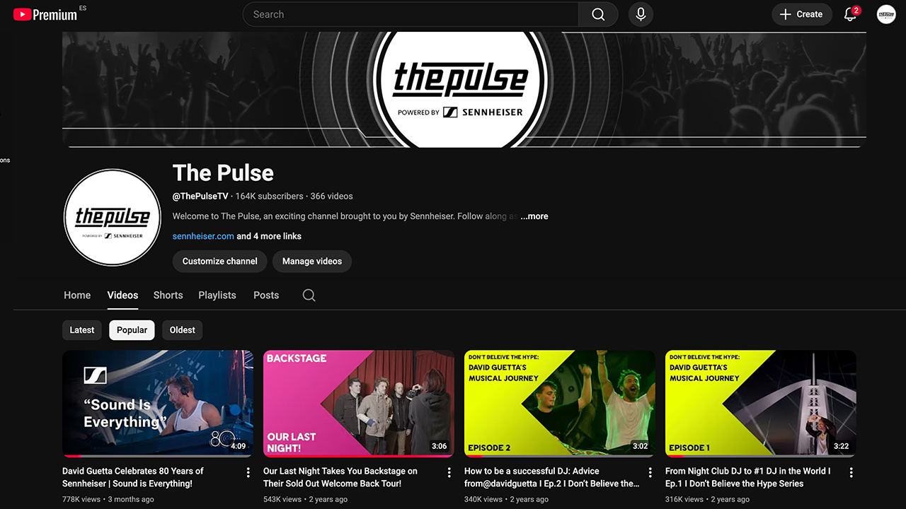The Pulse Youtube
