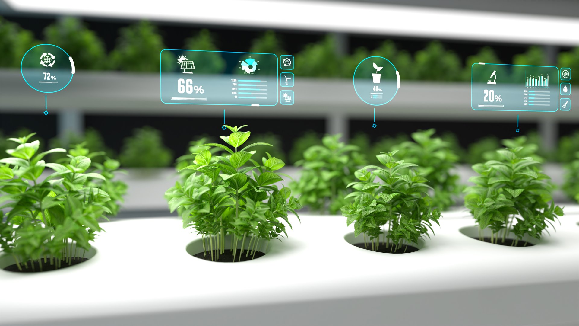 Organic hydroponic vegetable farm with digital data display. 3D illustration